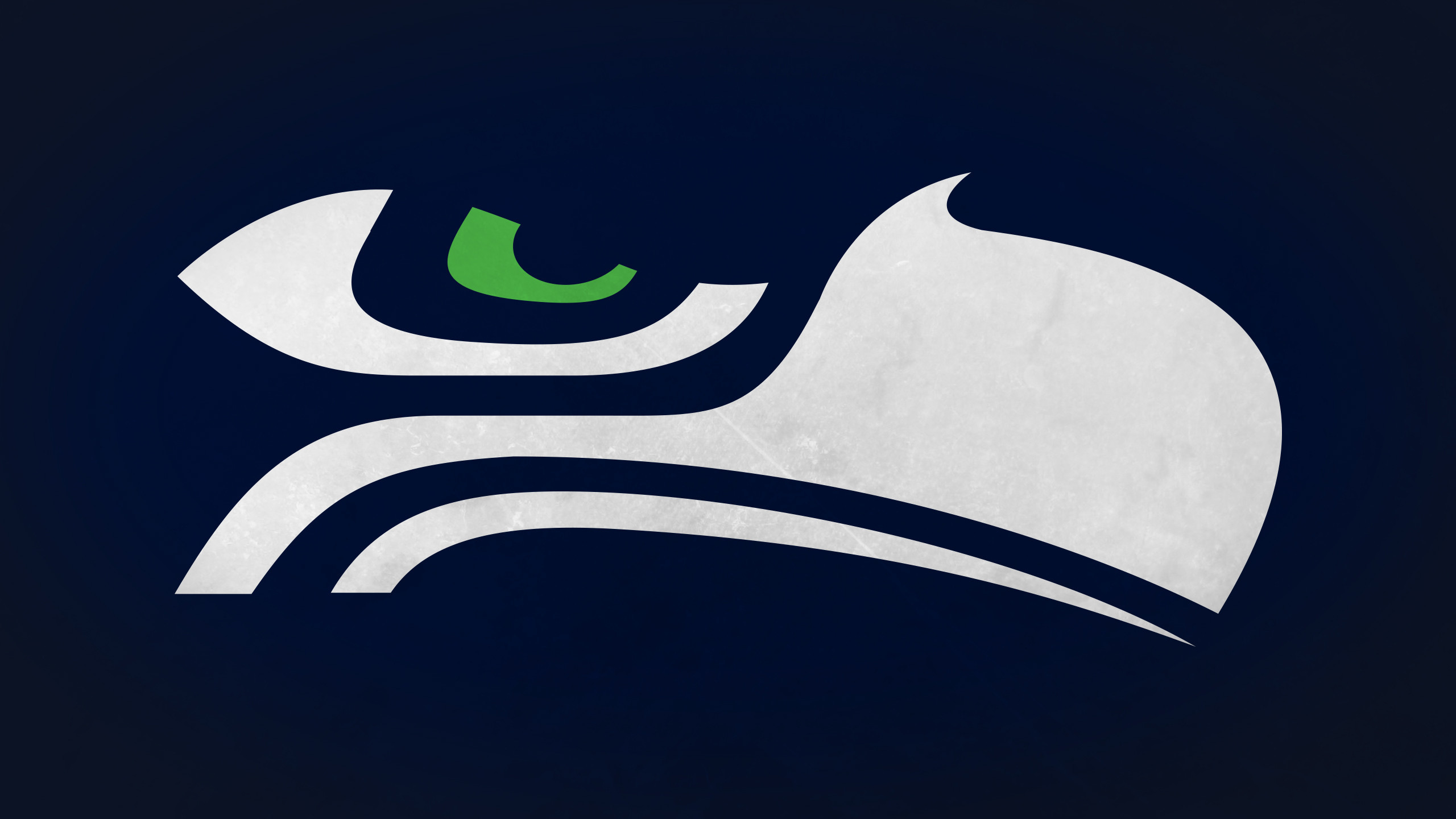 2560x1440 Awesome Seahawks Wallpaper 45439