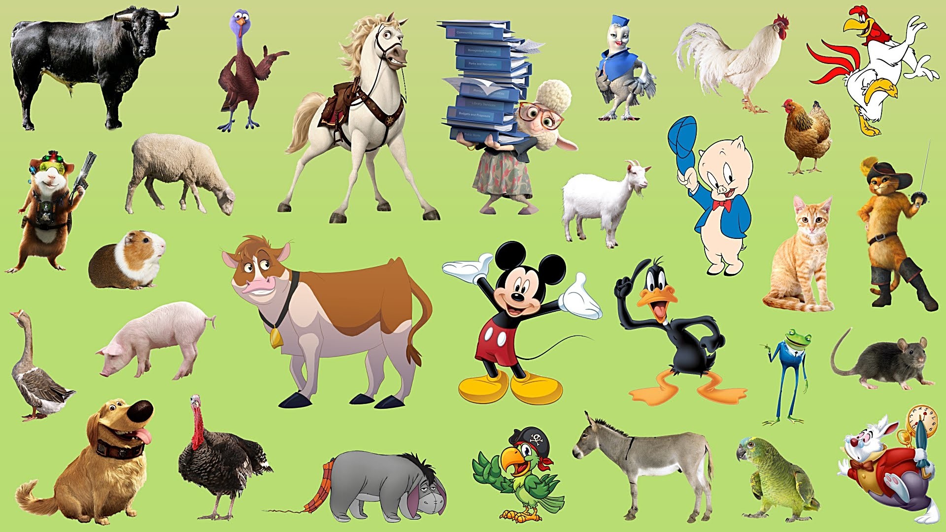 1920x1080 Learn Farm Animals Names and Sounds | With Cartoon characters for kids -  YouTube