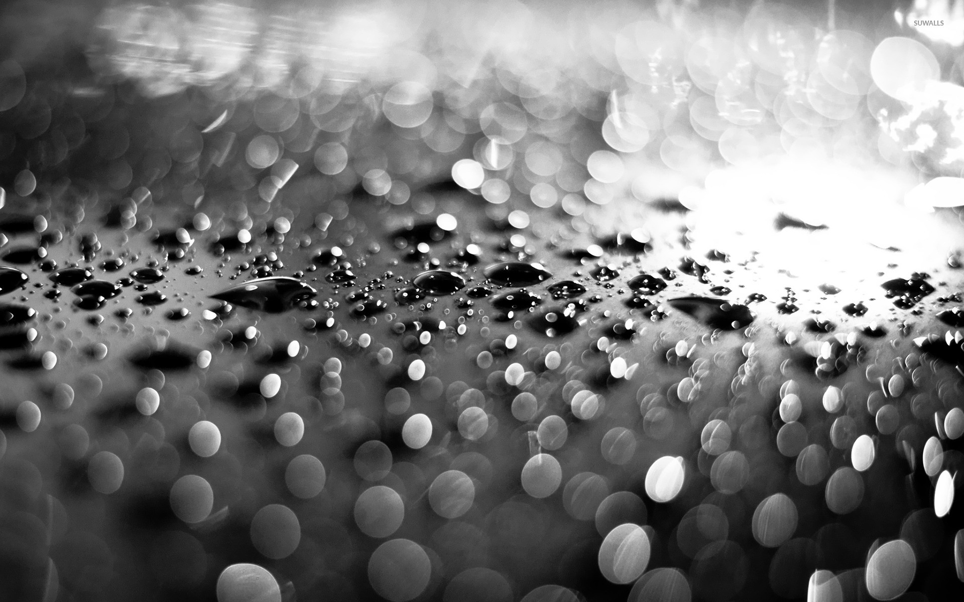 1920x1200 Water droplets wallpaper  jpg