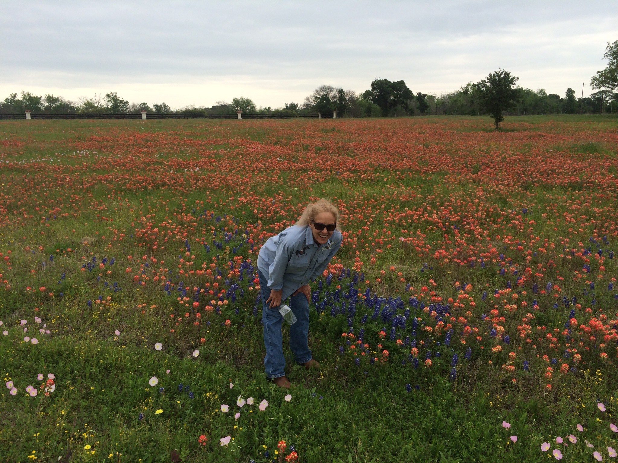 2048x1536 From Nacogdoches we head west looking for the Texas Bluebonnets  that,according to wildflower web sites, are at their peak. Around Conroe  Texas we have our ...