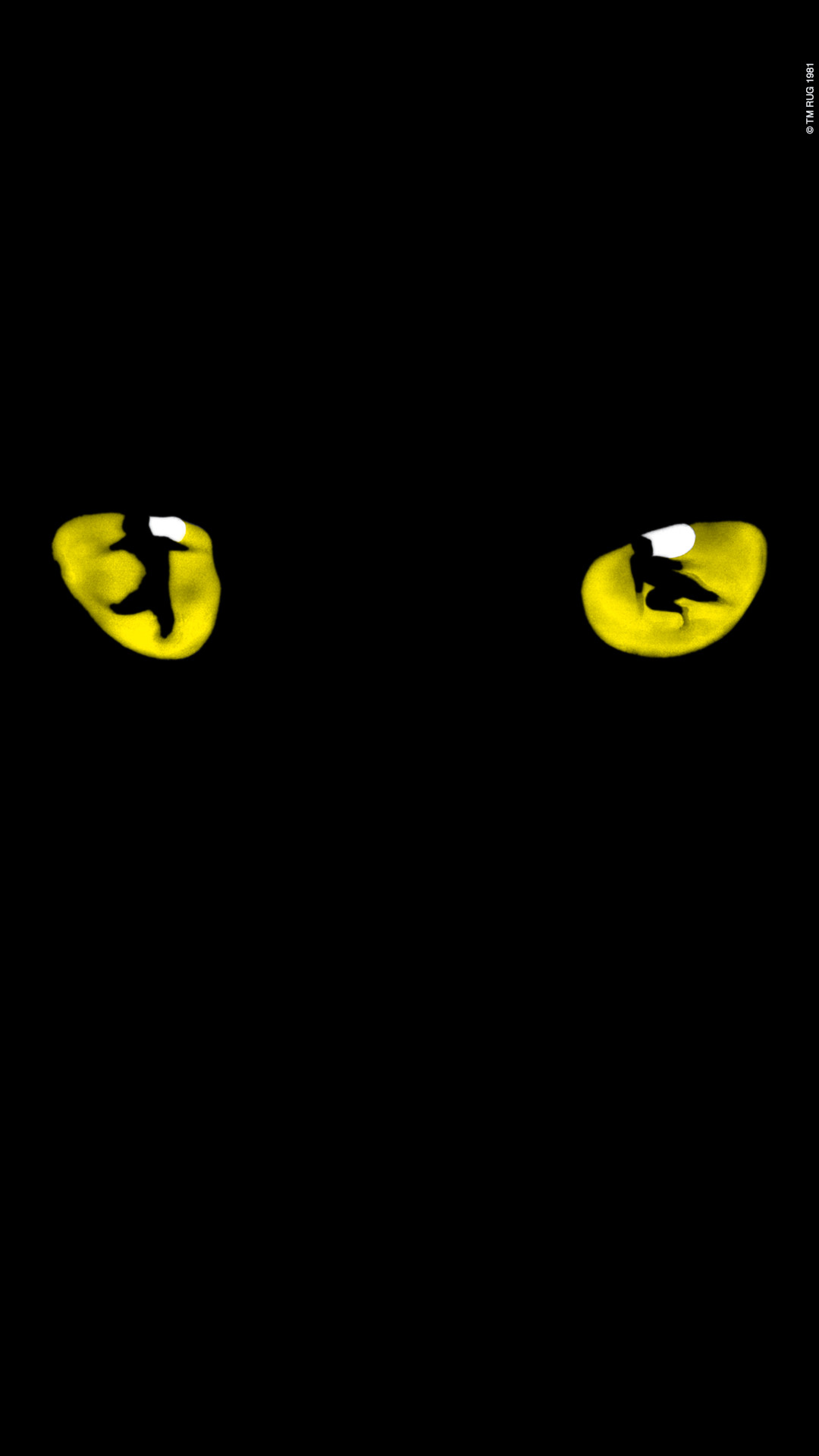 1080x1920 ... iphone wallpapers cats the musical ...