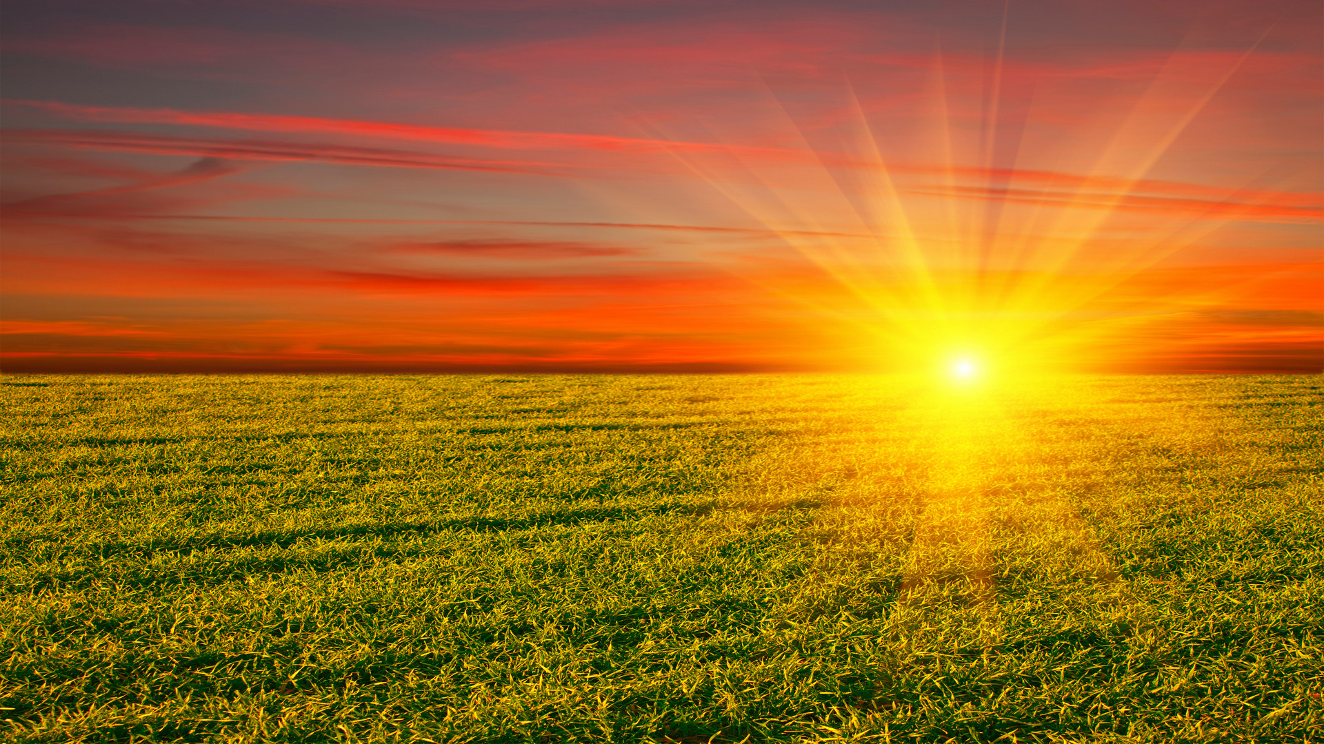 1920x1080 sun Wallpaper | Sparkling Nature
