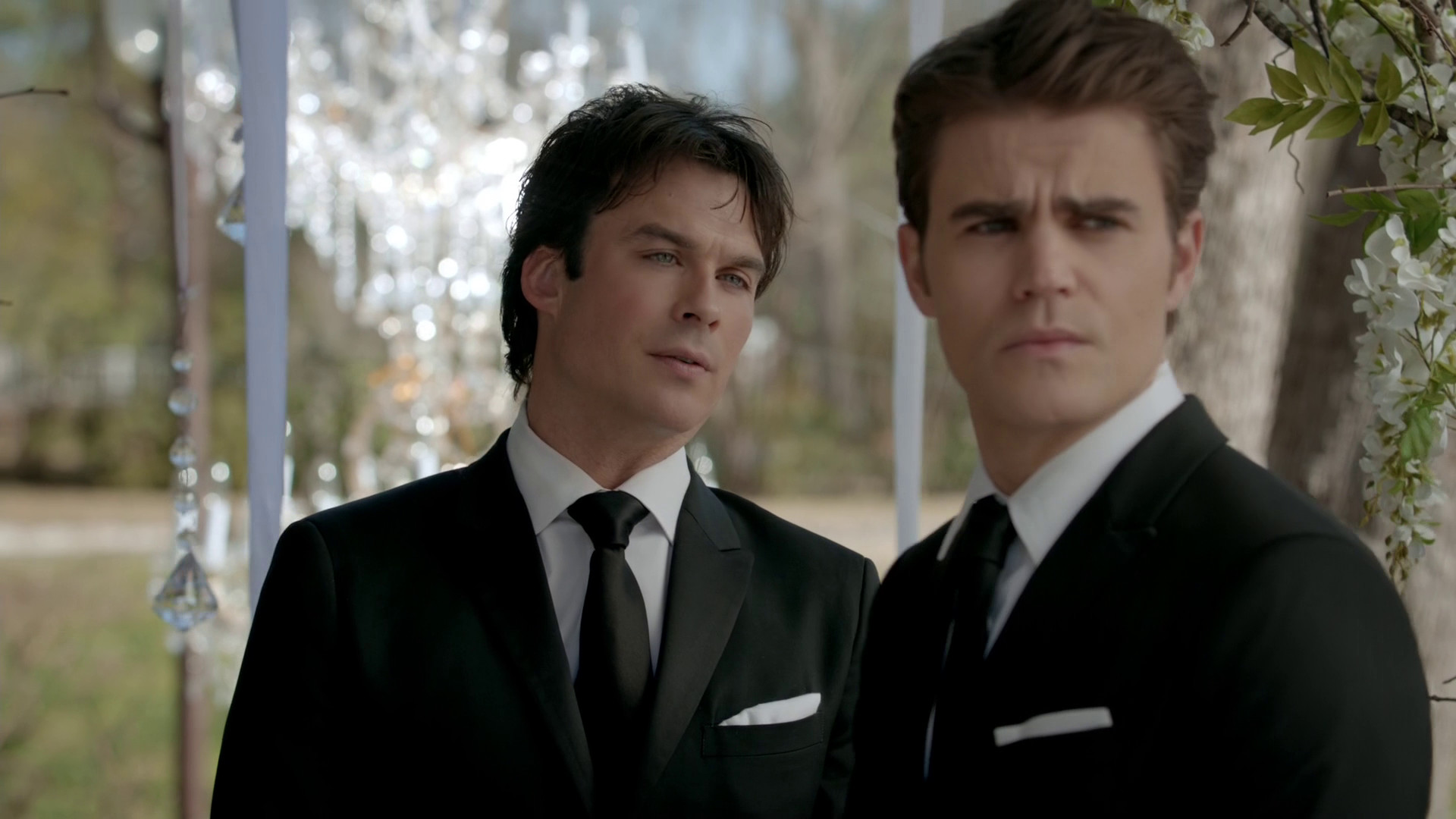 Damon And Stefan Salvatore Wallpaper 78 Images 