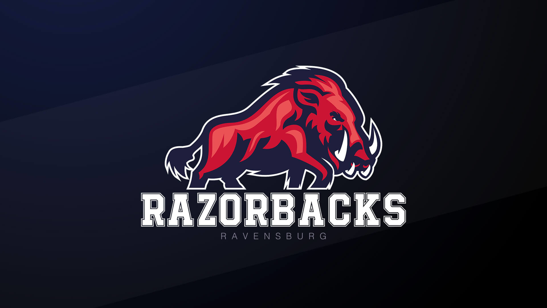 1920x1080 Here is different take on the Razorback logo from a German football team:
