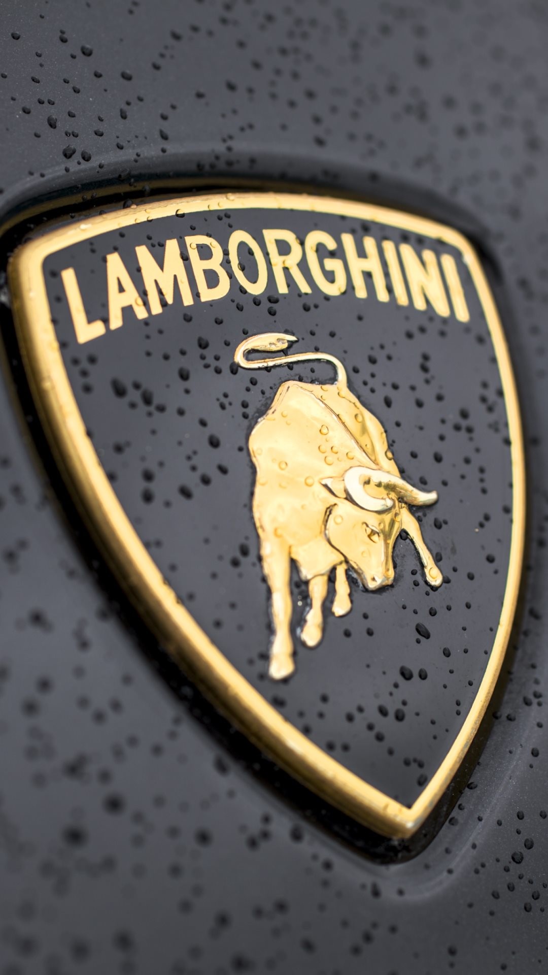 1080x1920 Lamborghini Logo Close-up iPhone 6 wallpaper