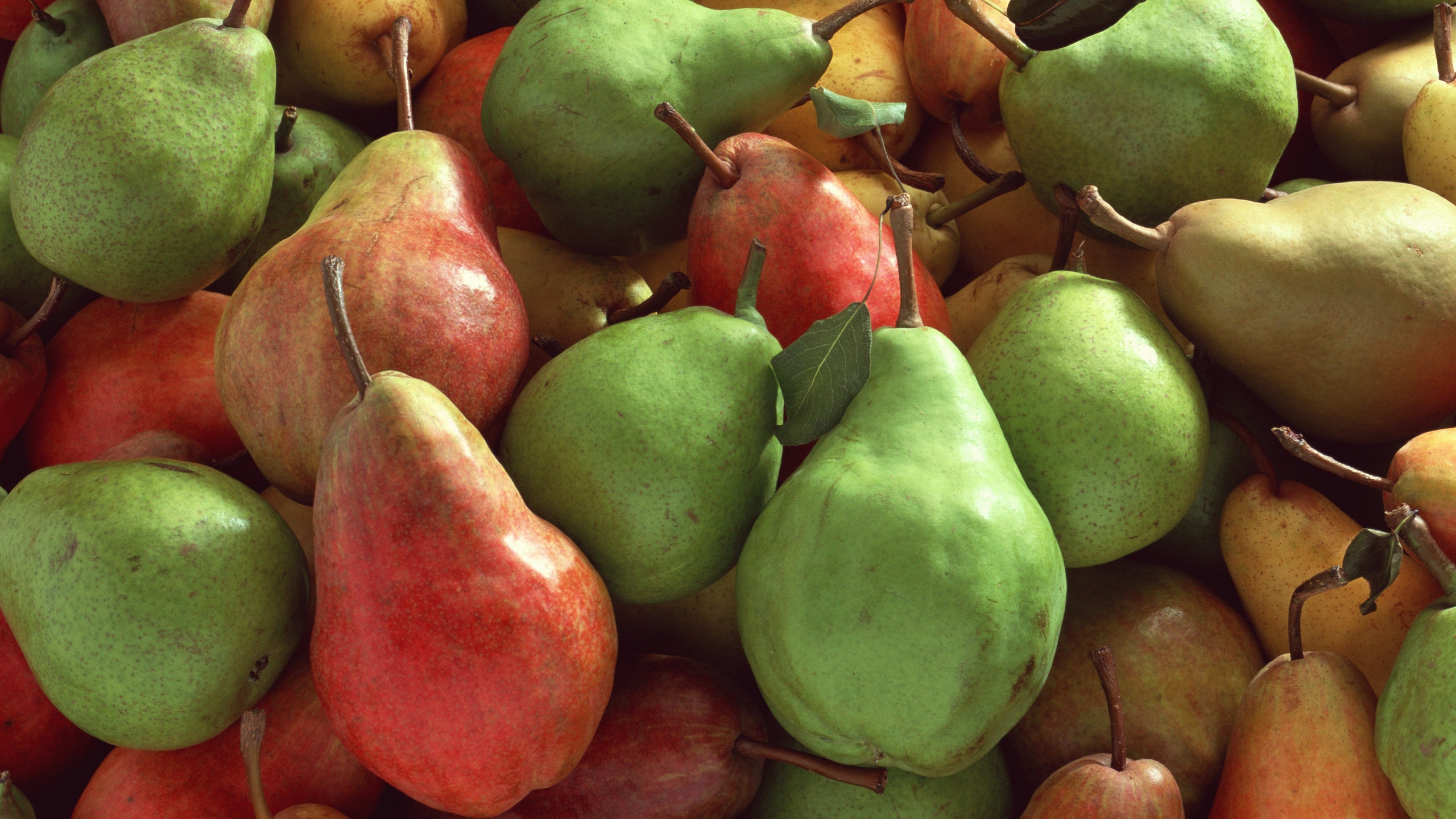 3840x2160 10 HD Pears Fruit Wallpapers