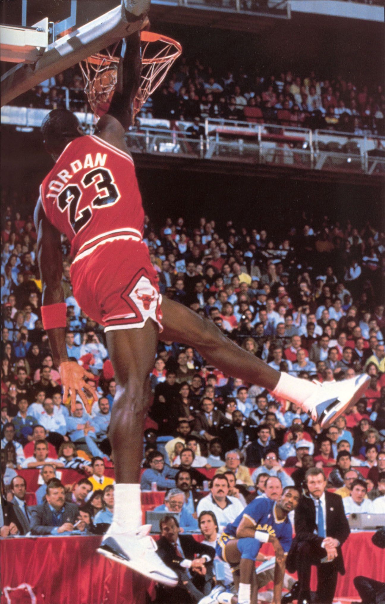 1295x2028 Michael Jordan Dunk Widescreen 2 HD Wallpapers