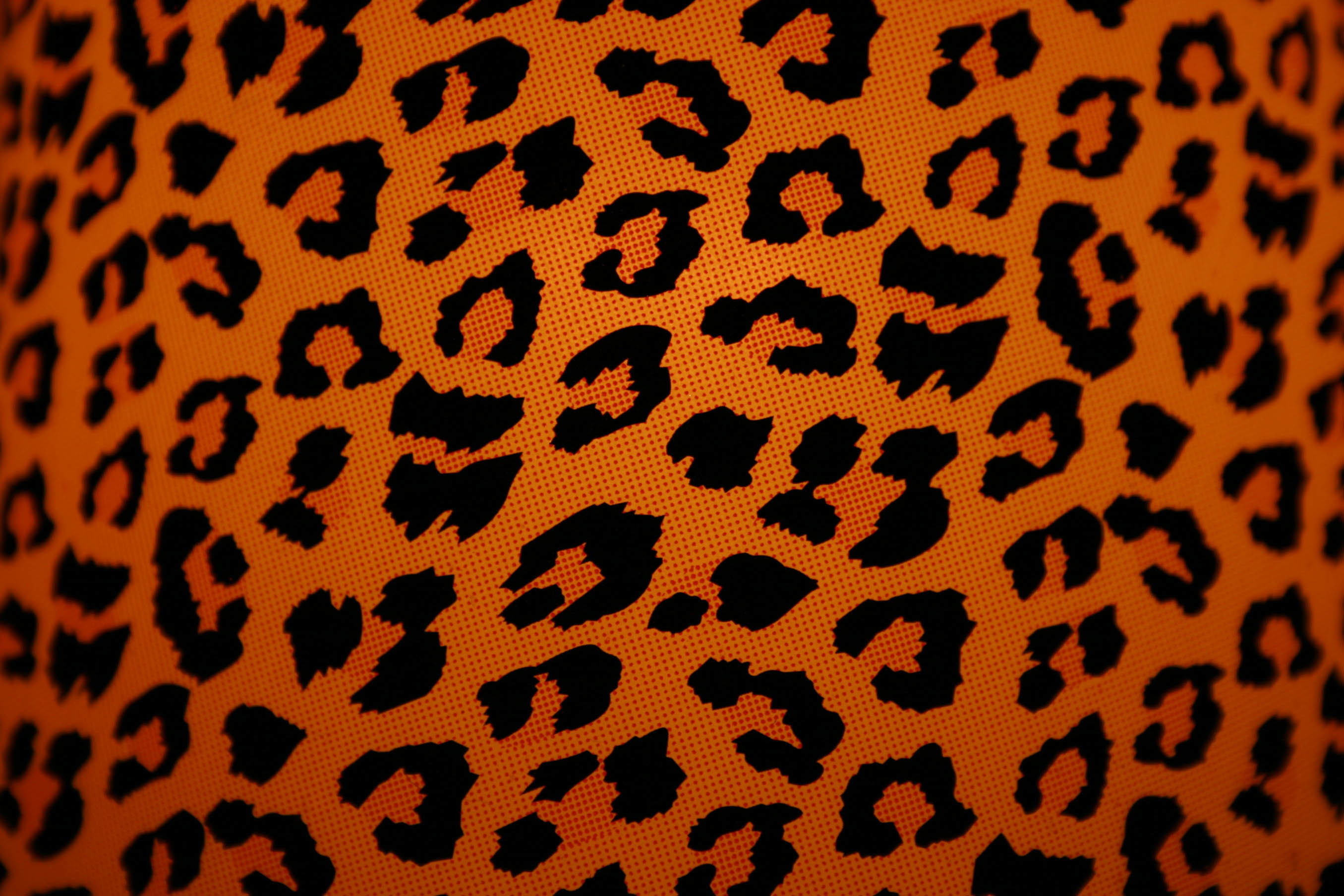 2711x1807 Wallpaper Cheetah Print Tumblr