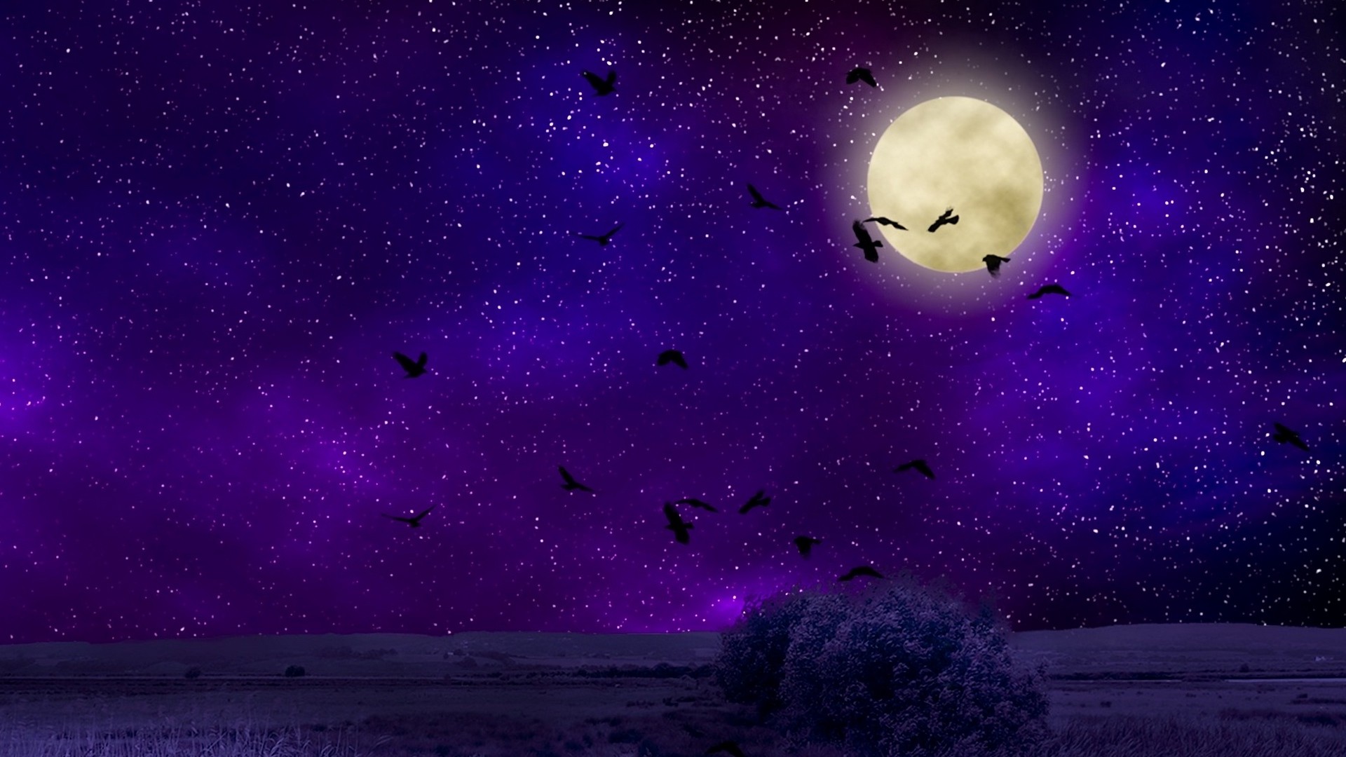 1920x1080 Moon Birds Night Sky Artistic HD Wallpaper