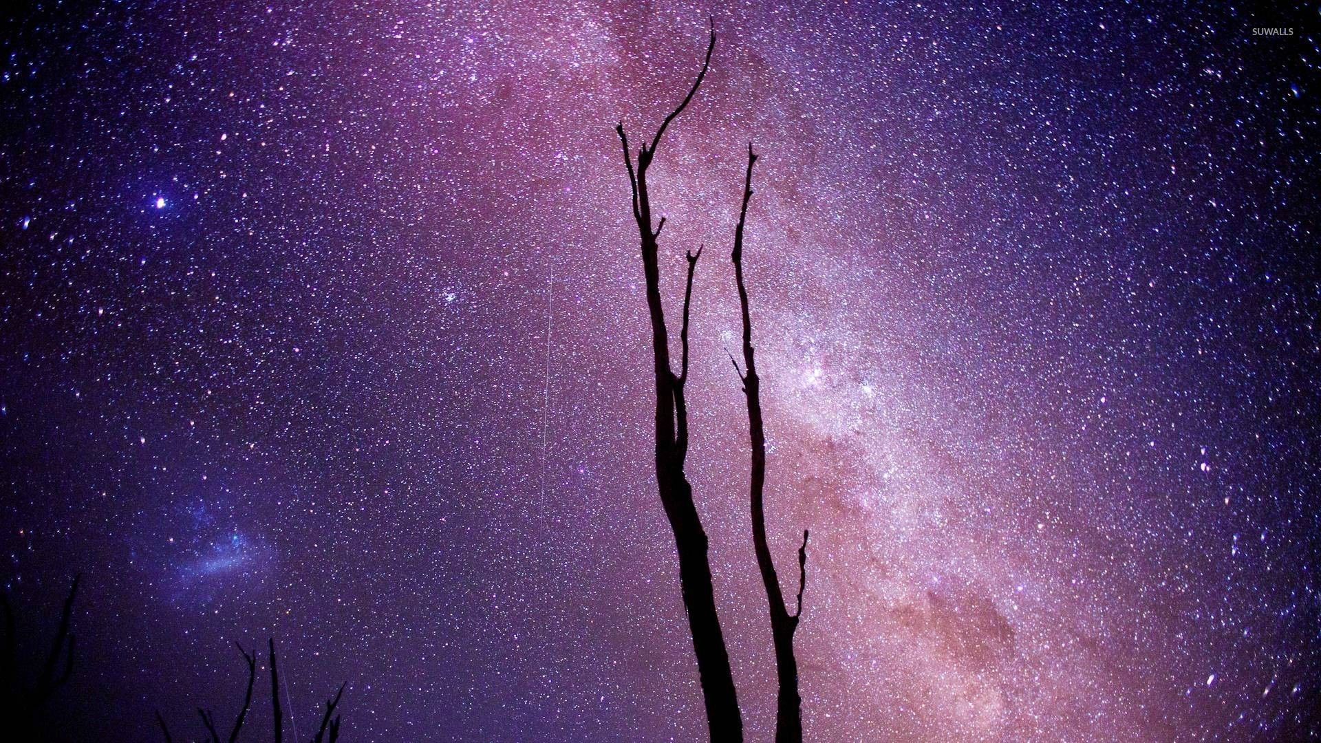 1920x1080 Milky Way above the trees wallpaper  jpg