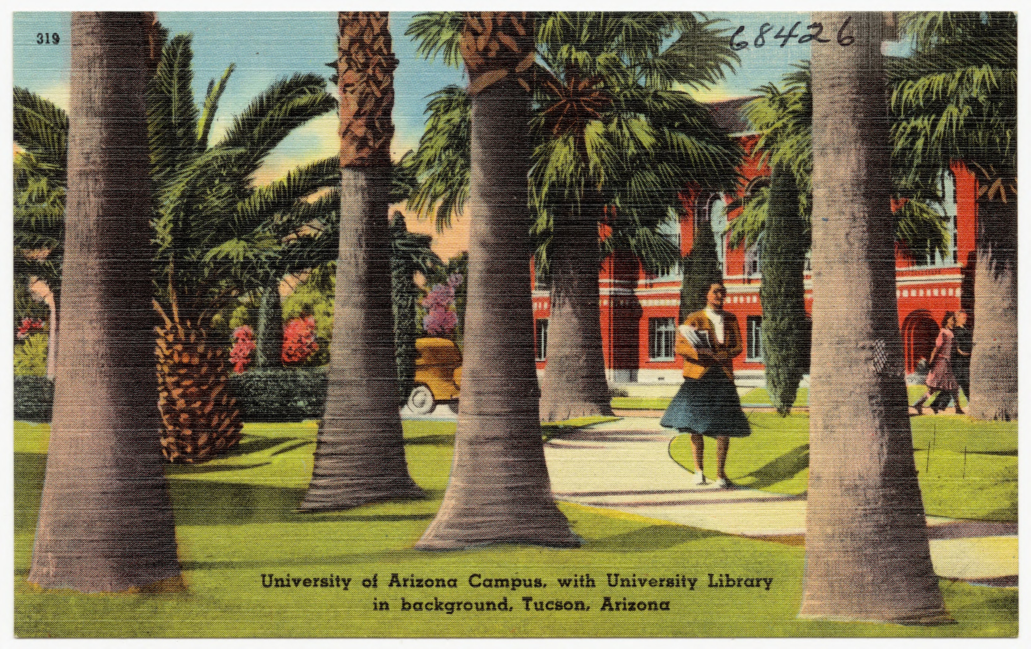 3336x2101 File:University of Arizona campus, with university library in background,  Tucson, Arizona