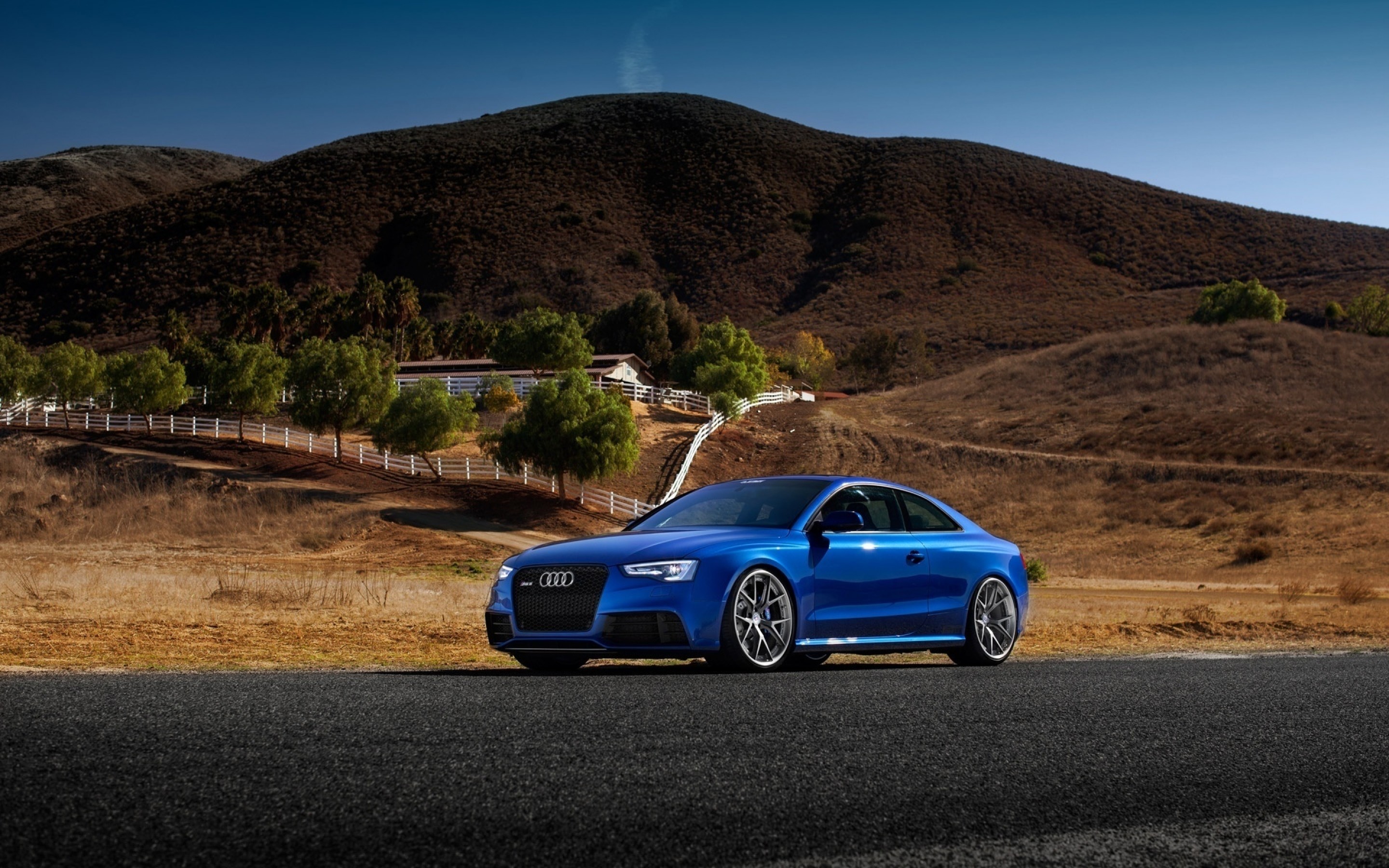 2880x1800 Blue Audi RS5 Sport Car 4k HD Wallpaper