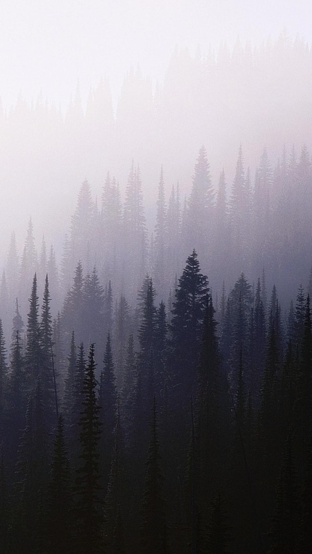 1080x1920 Resultado de imagen para forest wallpaper tumblr iphone