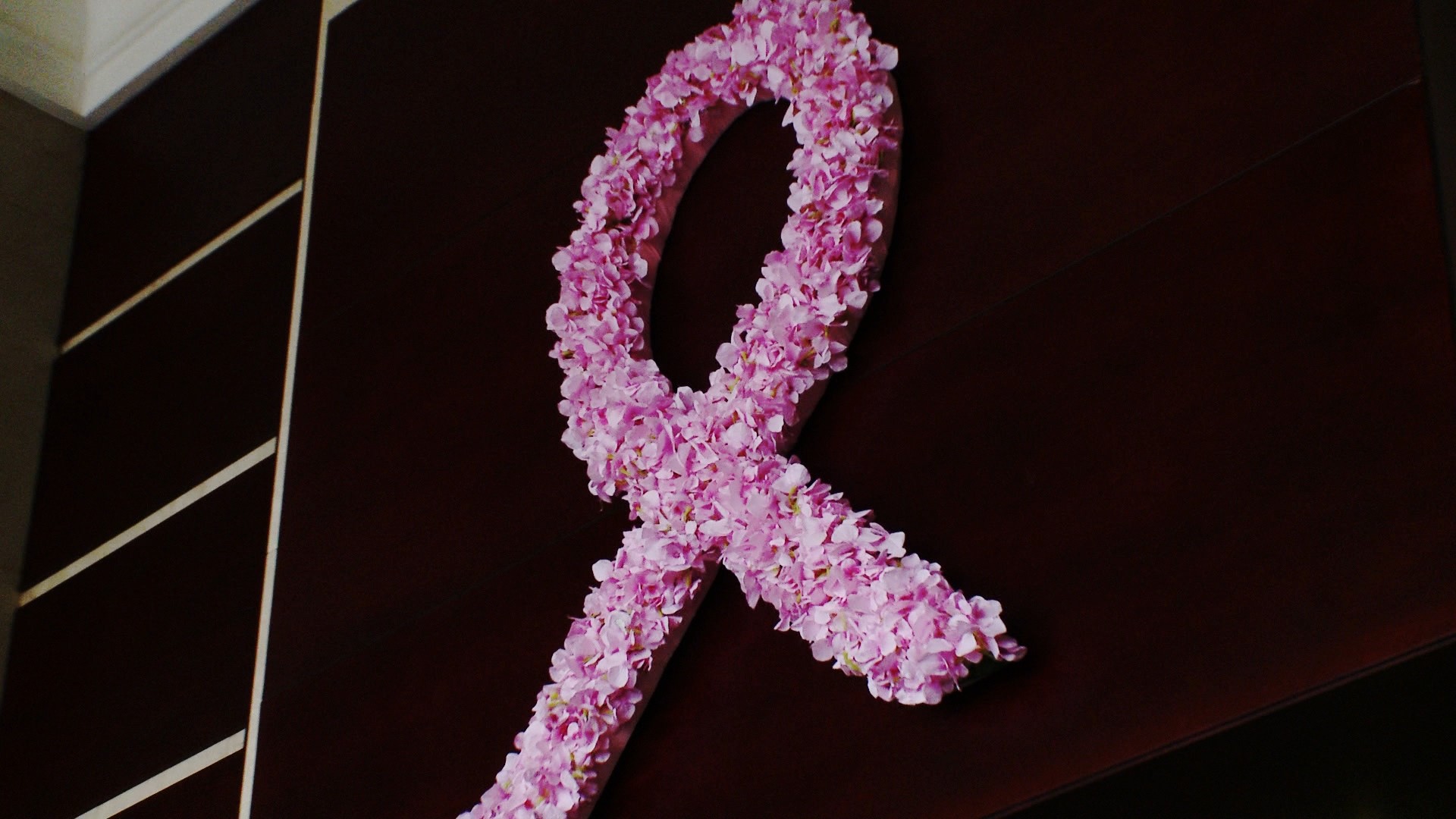 1920x1080 Breast Cancer Wallpapers. 12 HD Breast Cancer Desktop Wallpapers For Free  Download. breast