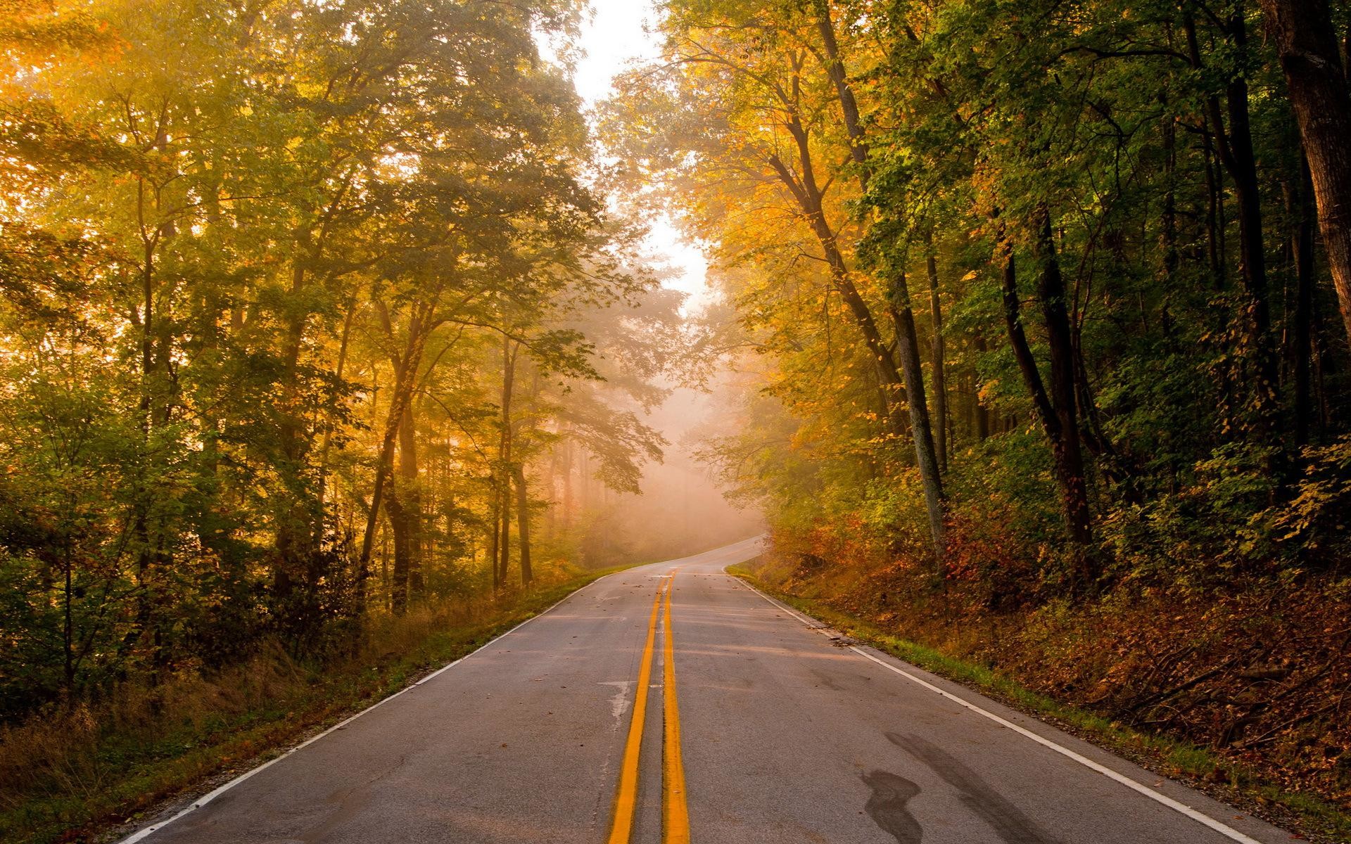 1920x1200 Related HD wallpapers of "Autumn Road Trip"
