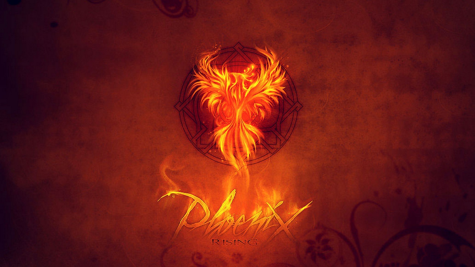 Phoenix Bird HD Wallpaper (75+ images)