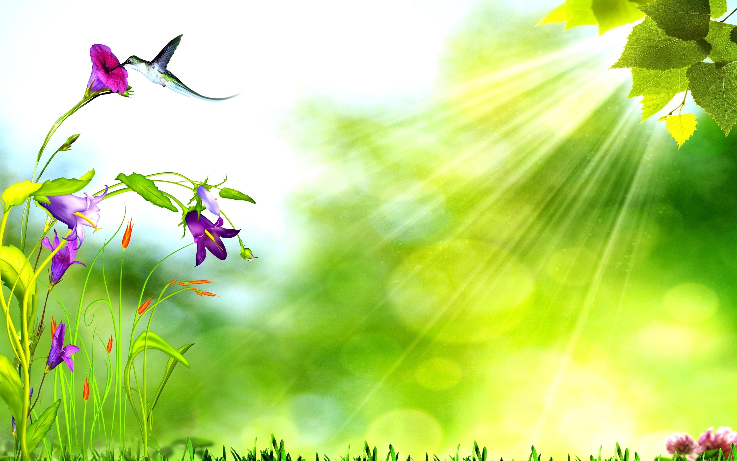 2560x1600 spring background with bird, purple flowers, green leaves and Sunlight hd  wallpaper