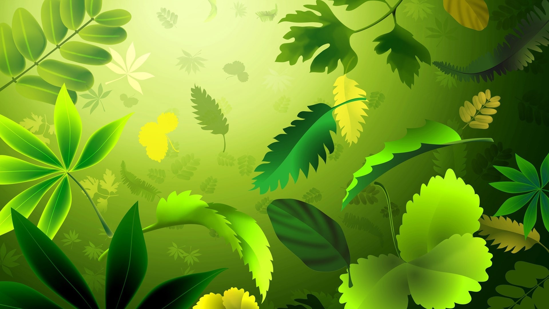 Nature  green leaves 2K wallpaper download