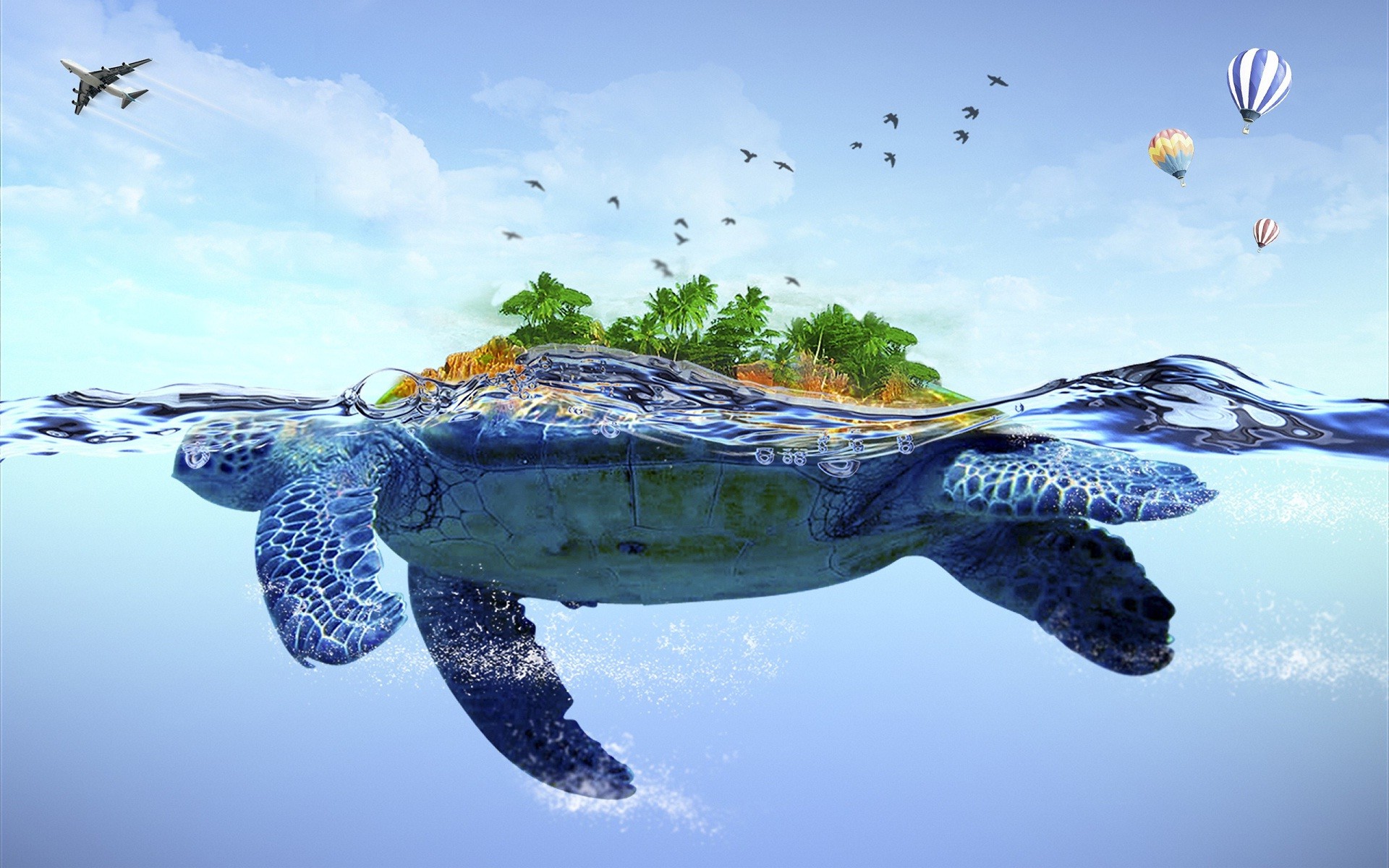 1920x1200 Turtle and airplane water background wallpaper
