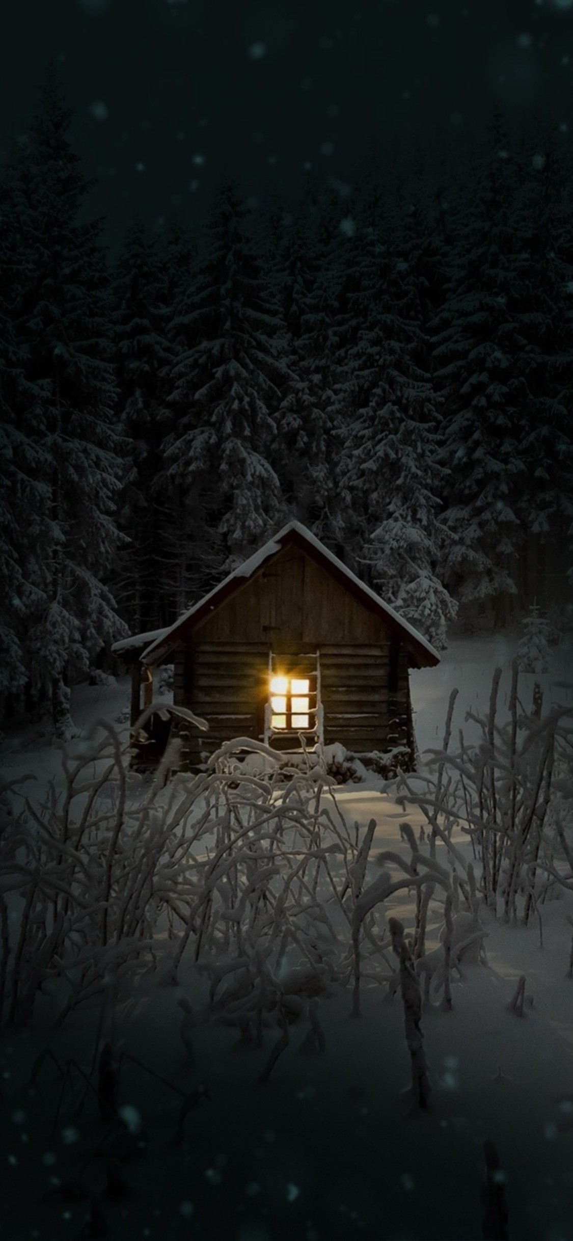 1125x2436 house-in-woods-winter-cold-6d.jpg