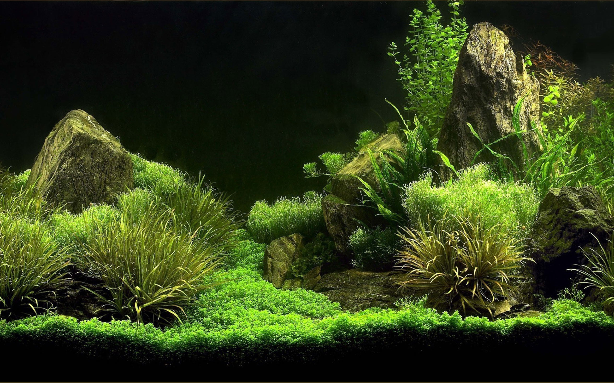 2560x1600 3D Aquarium Background. Source