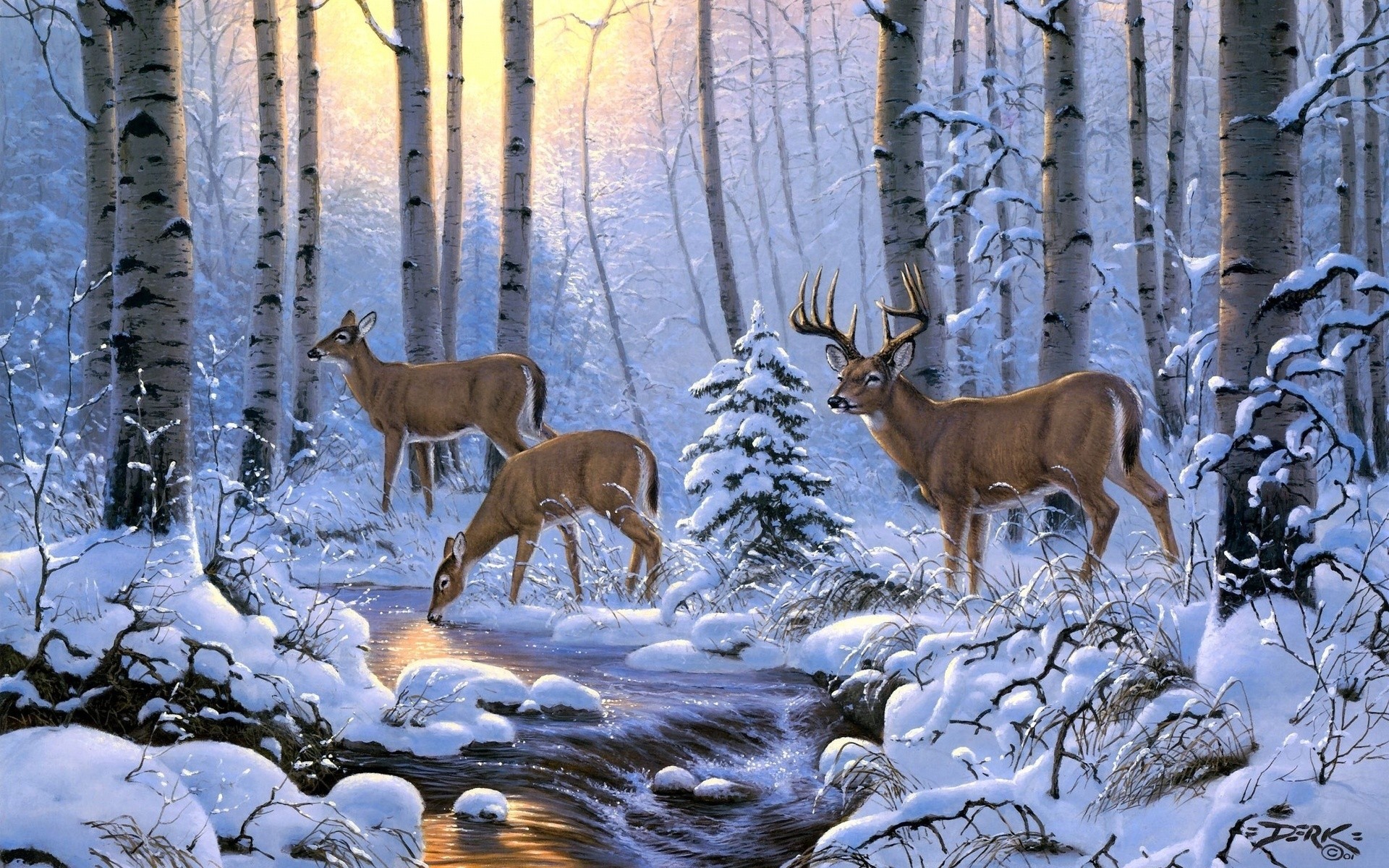 1920x1200 Deer, snow, the river, light, forest