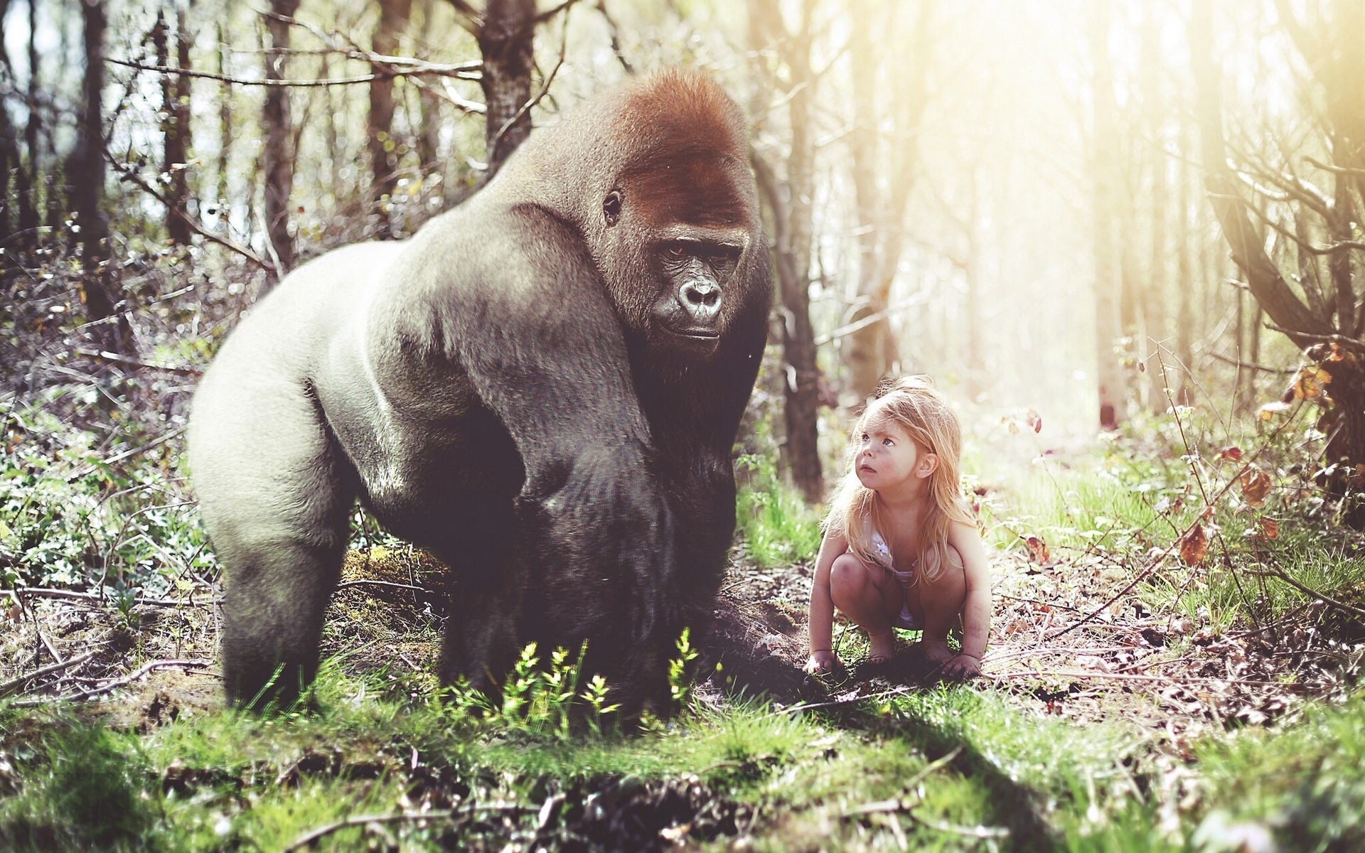 1920x1200 Gorilla girl monkey forest situation girls humor funny cute wallpaper |   | 84802 | WallpaperUP