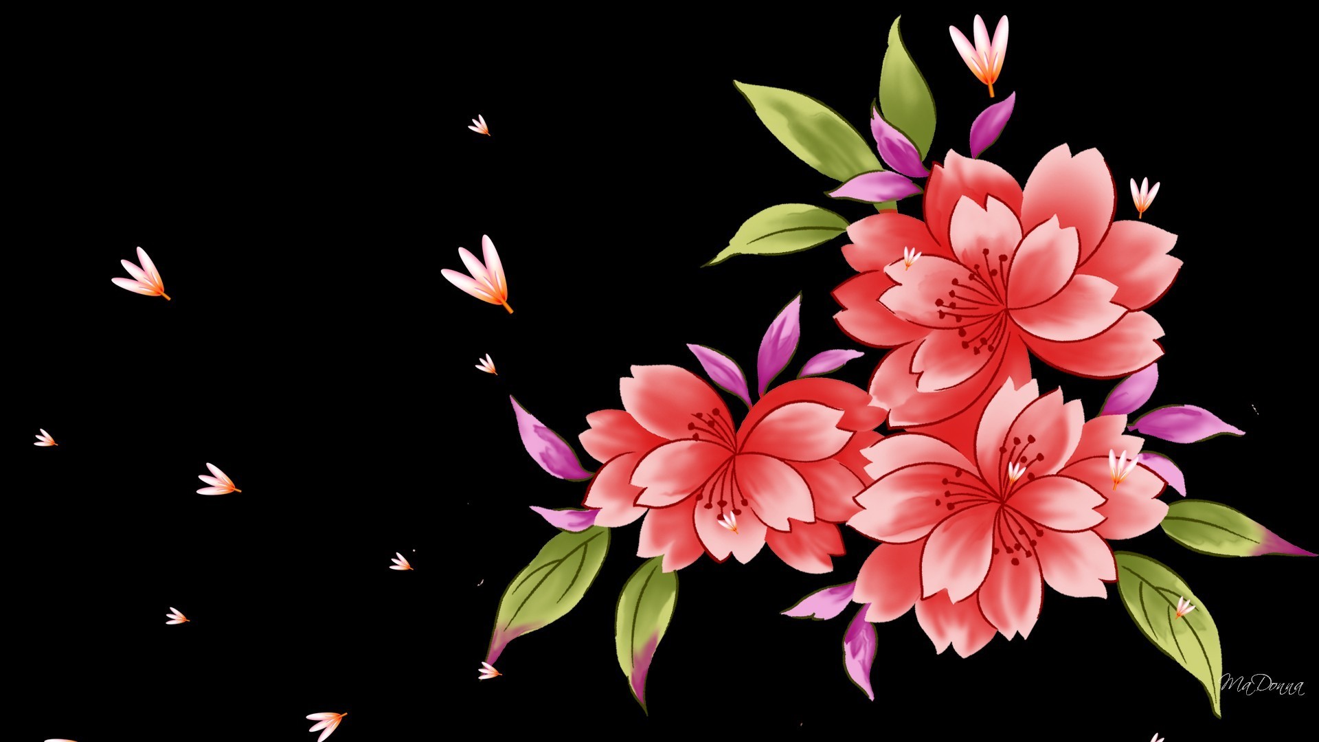 1920x1080 Flowers - Spring Black Abstract Summer Flowers Petals Special Pink Flower  Wallpapers For Desktop Free Download