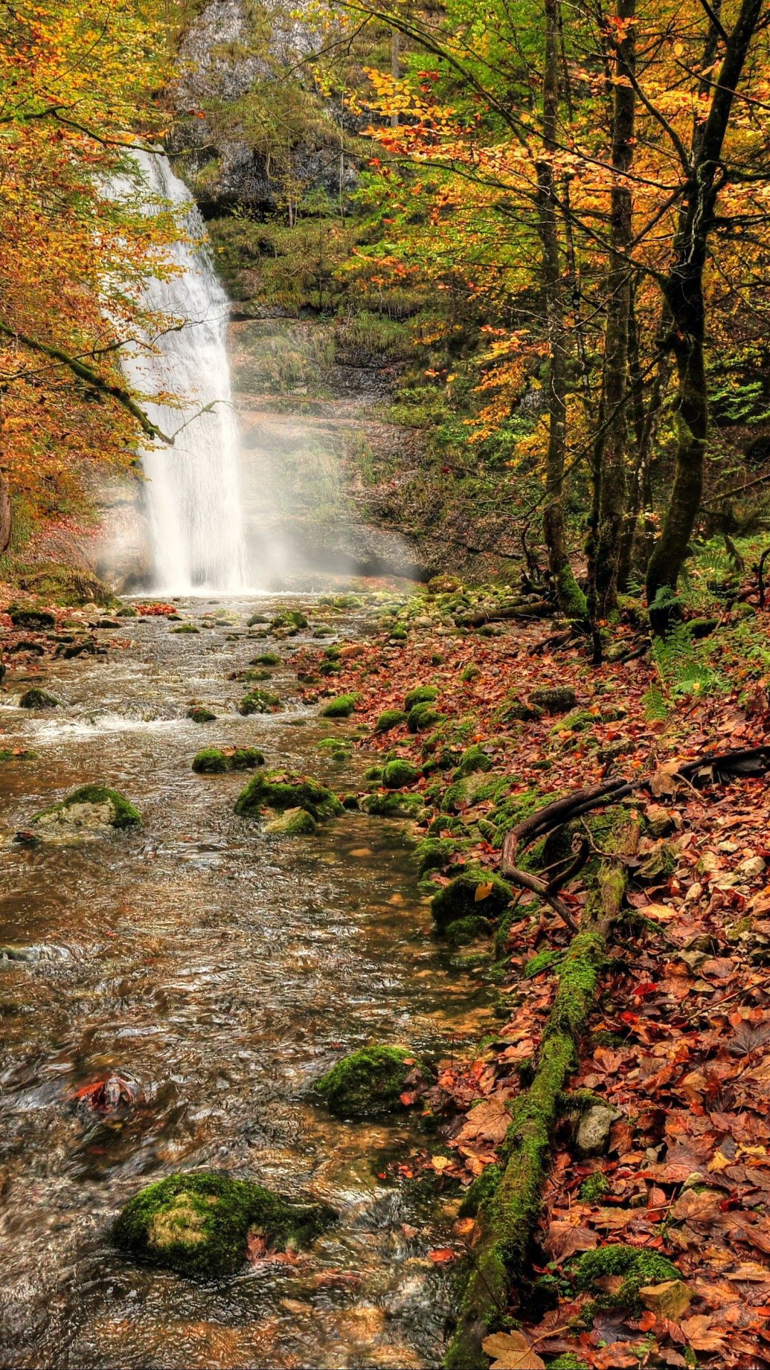 1080x1920 River, Autumn, Body of Water, Mountain River, Waterfall Wallpaper in   Resolution