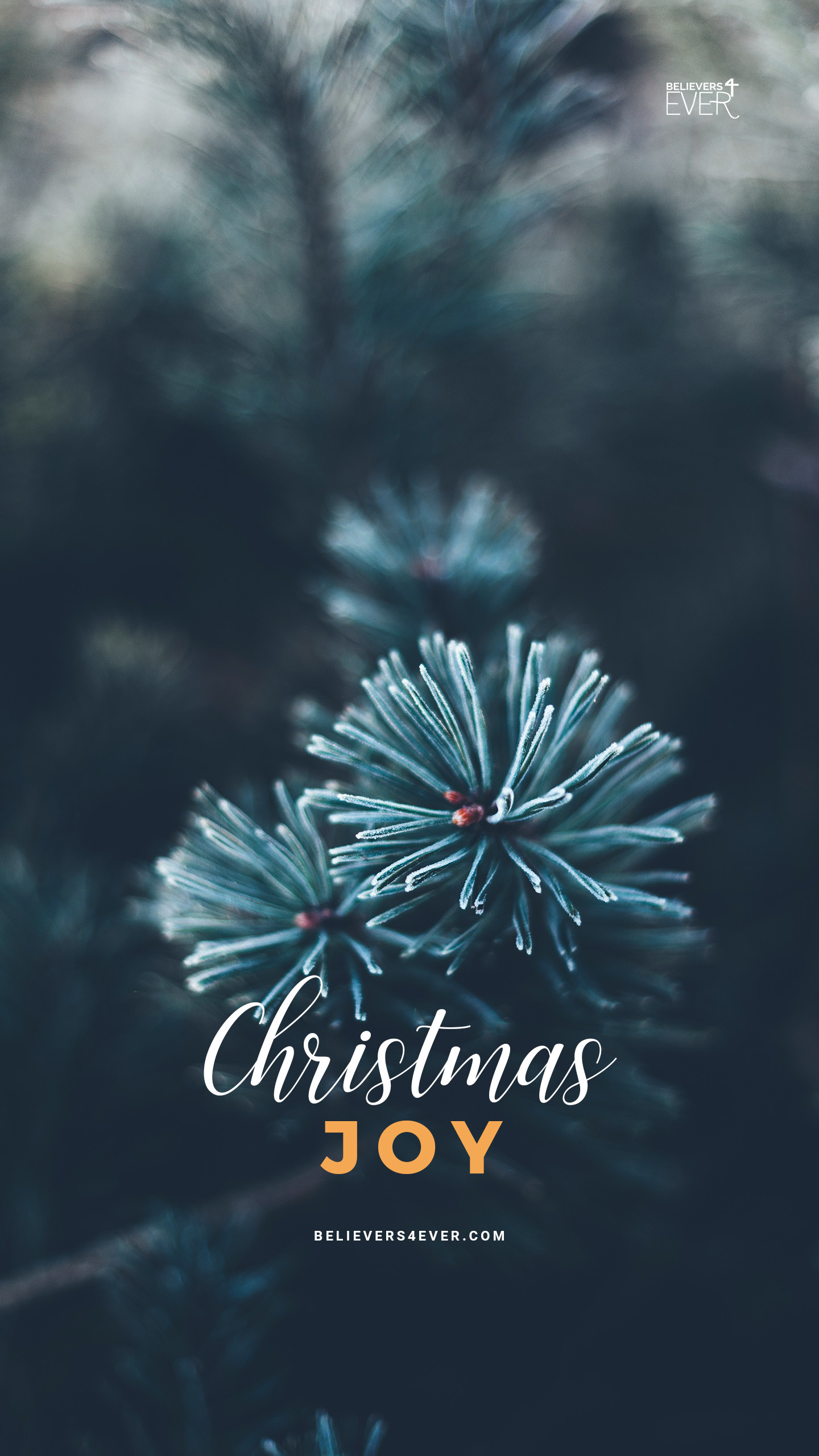 1440x2561 Christmas Joy mobile wallpaper for iphone and Android