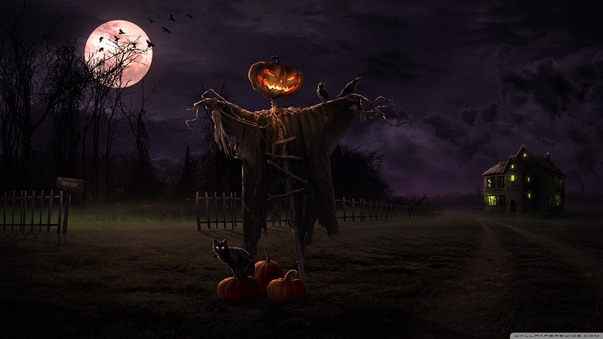2560x1440 Scary Halloween Backgrounds - Wallpaper Cave ...