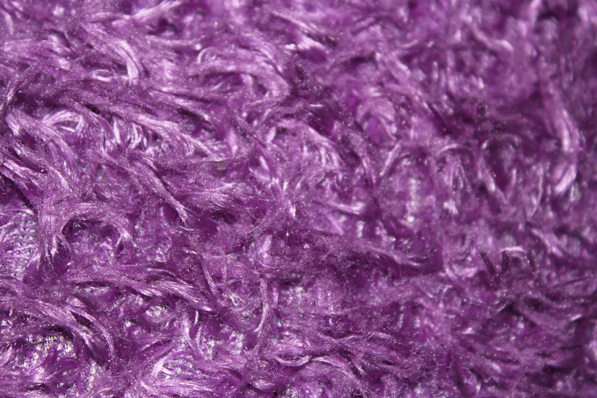 1920x1280 Purple Fur Wallpaper
