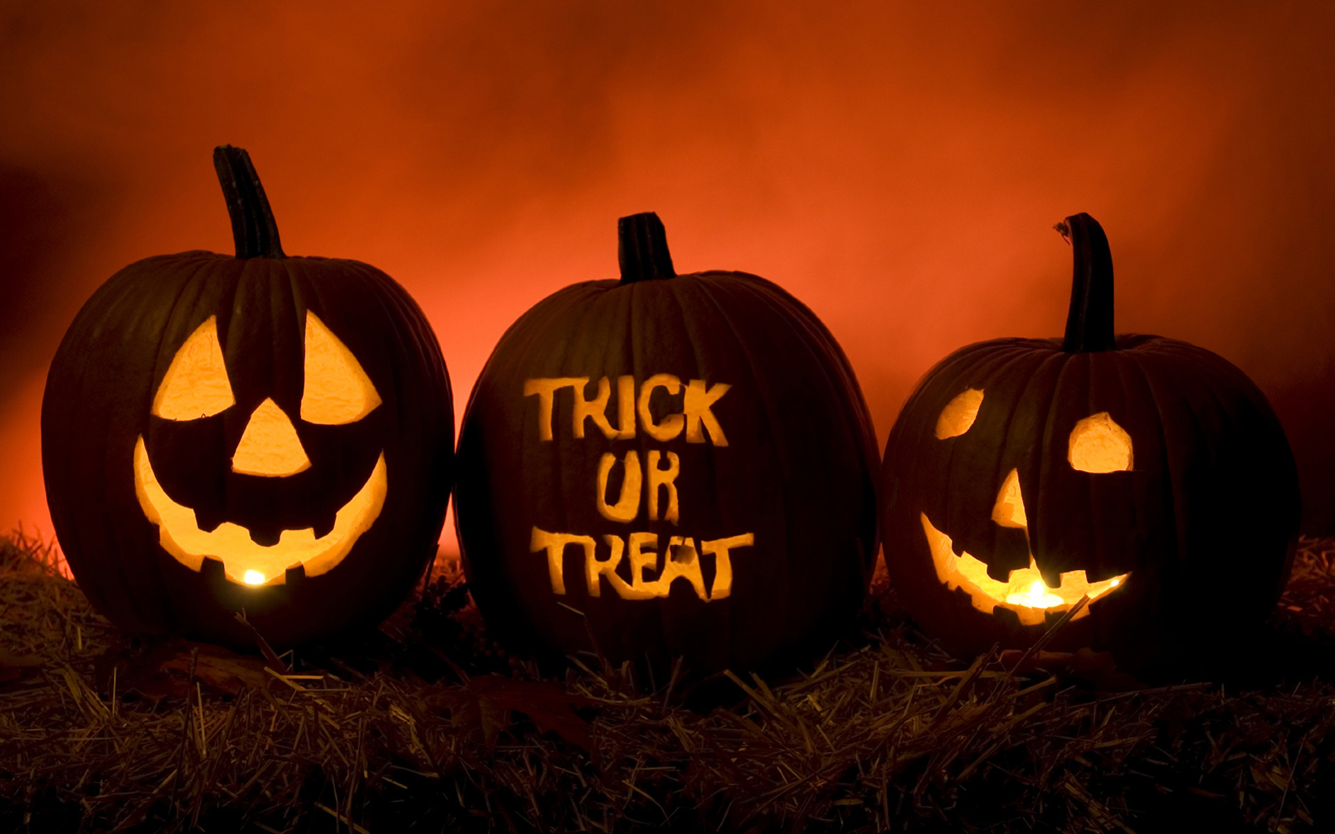 1920x1200 Halloween Wallpaper Hd Resolution For Desktop Wallpaper 1920 x 1200 px  692.31 KB cute pumpkin witch