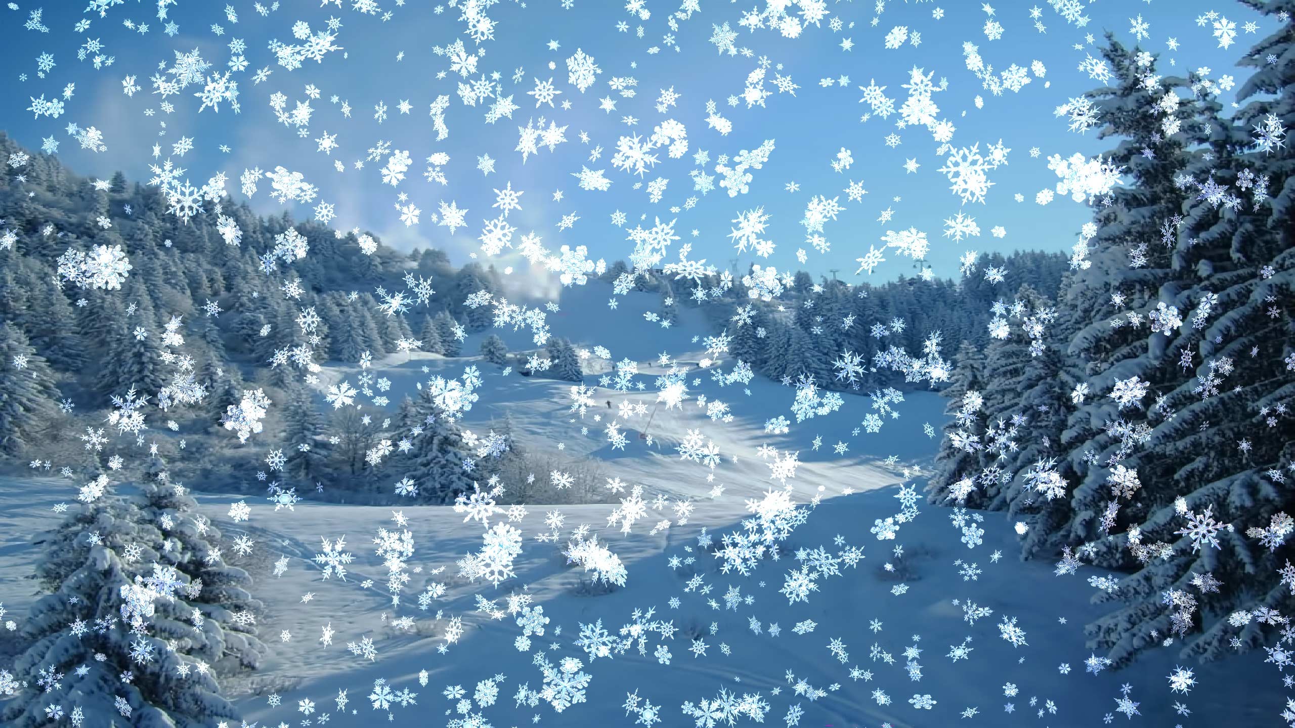 2560x1440 Animated Snow Gif wallpaper - 1391213