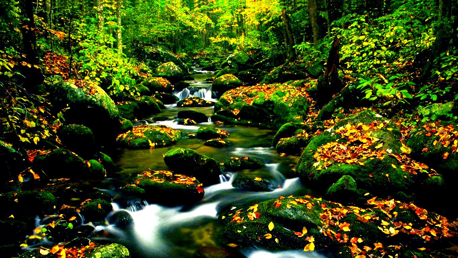 1920x1080 forests water nature colors woods trees lovely beautiful fall river  wallpapers[]