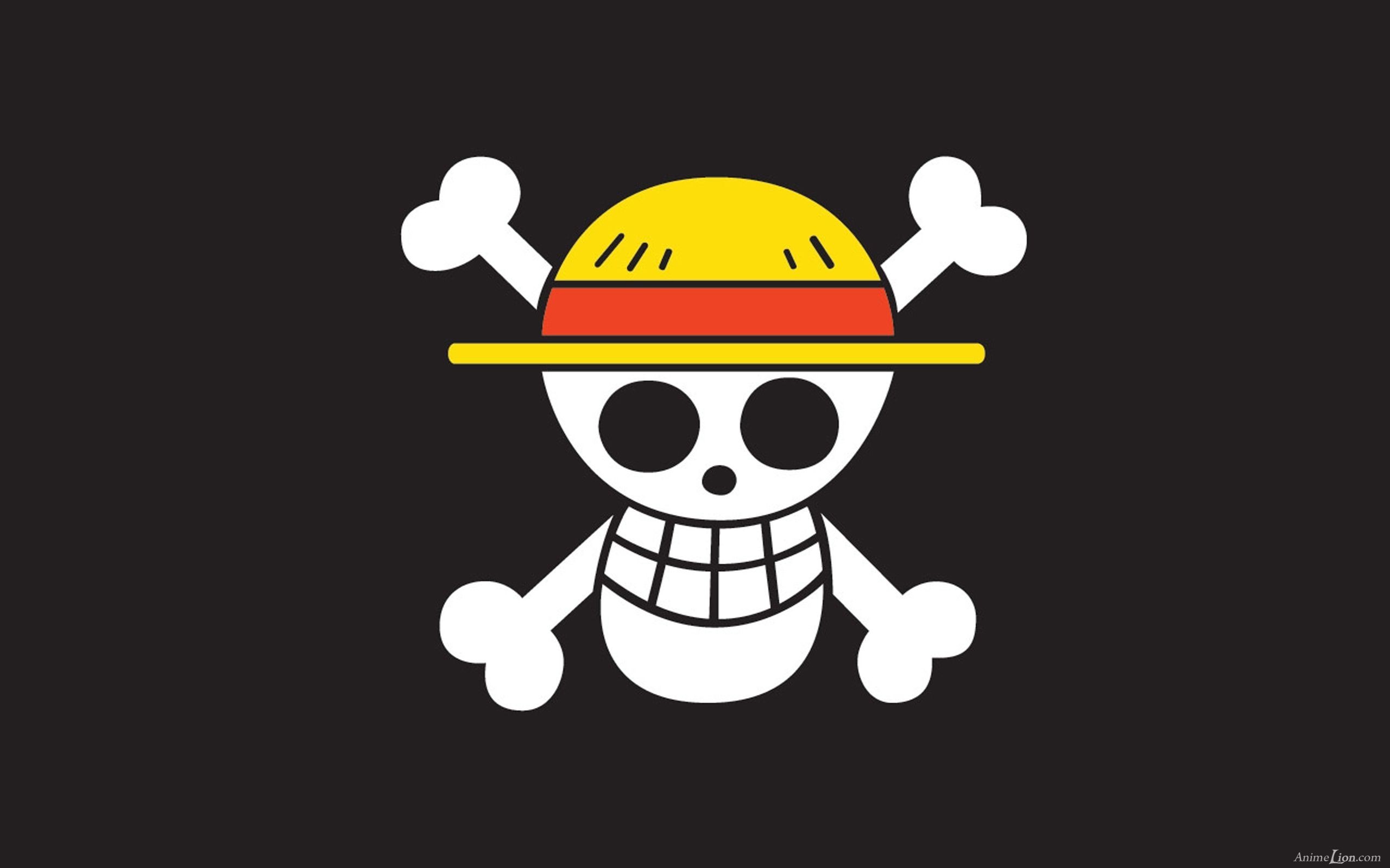 2560x1600  Flag Wallpaper for One Piece Anime 2015
