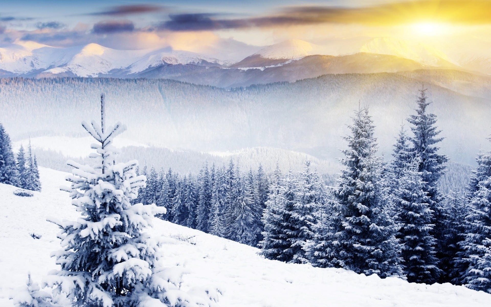 Winter Scene Desktop Background (56+ images)