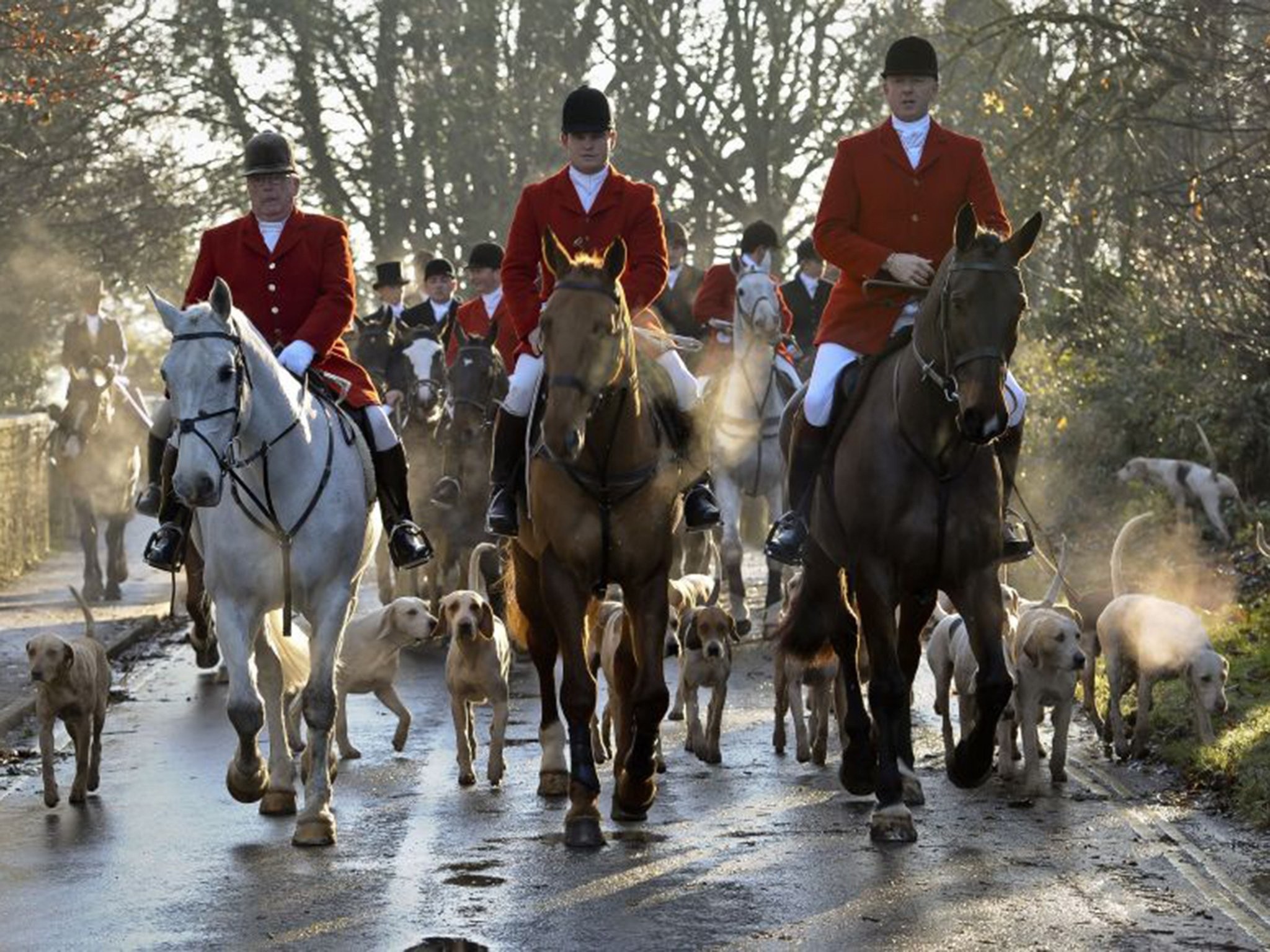2048x1536 Labour to consider prison sentences for people taking part in illegal fox  hunts | The Independent