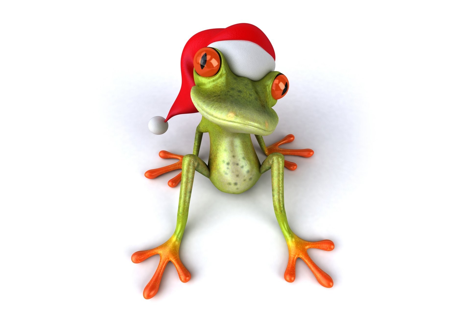 1920x1280 3d funny frog christmas santa hat frog santa hd wallpaper