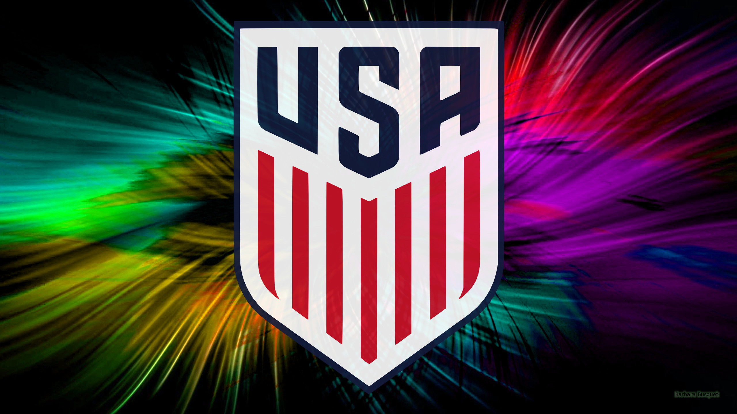 2560x1440 United States Soccer Team wallpaper