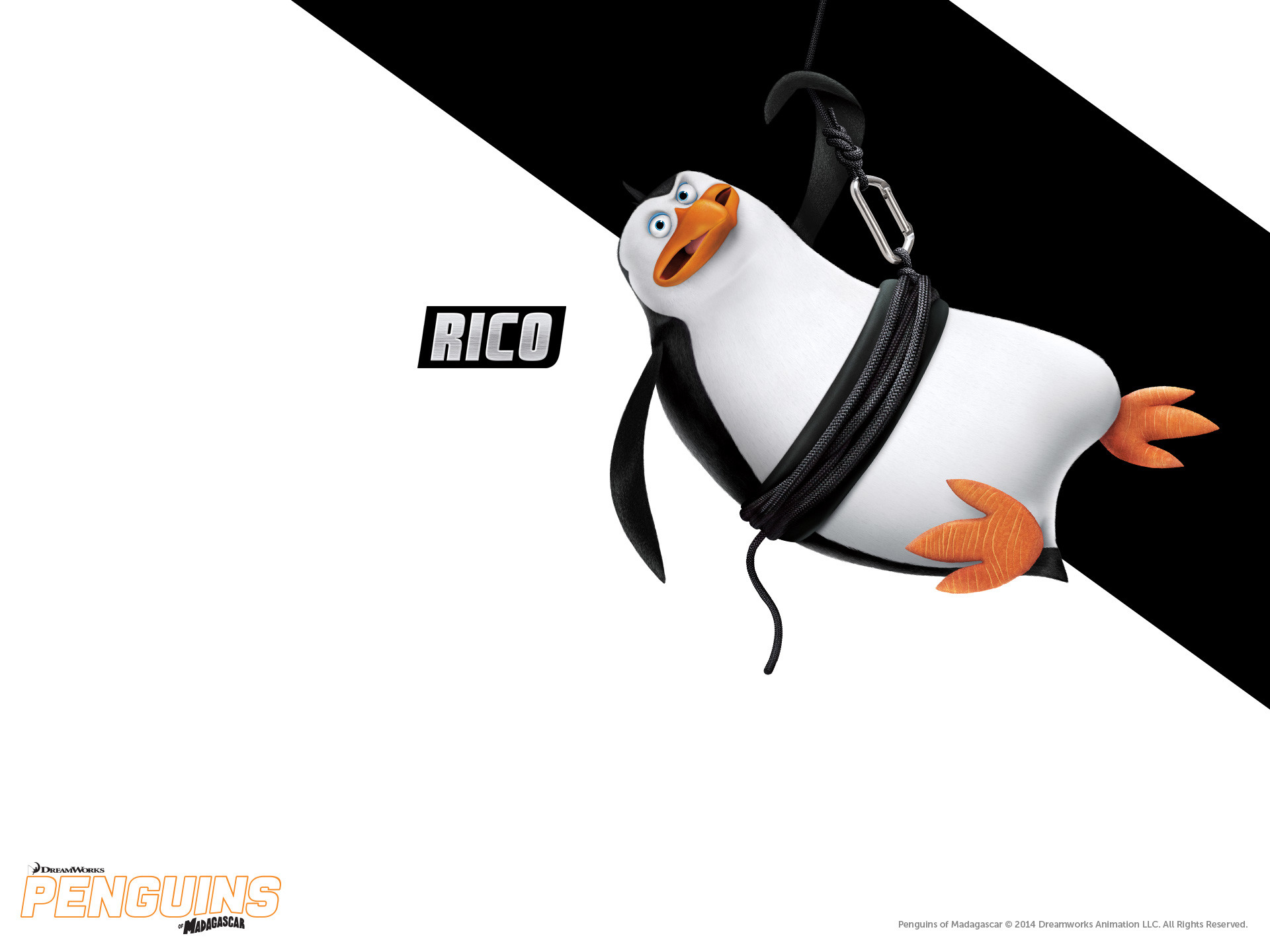 1920x1440 DreamWorks Animation's PENGUINS OF MADAGASCAR | LOOK FOR IT ON BLU-RAY, DVD  & DIGITAL
