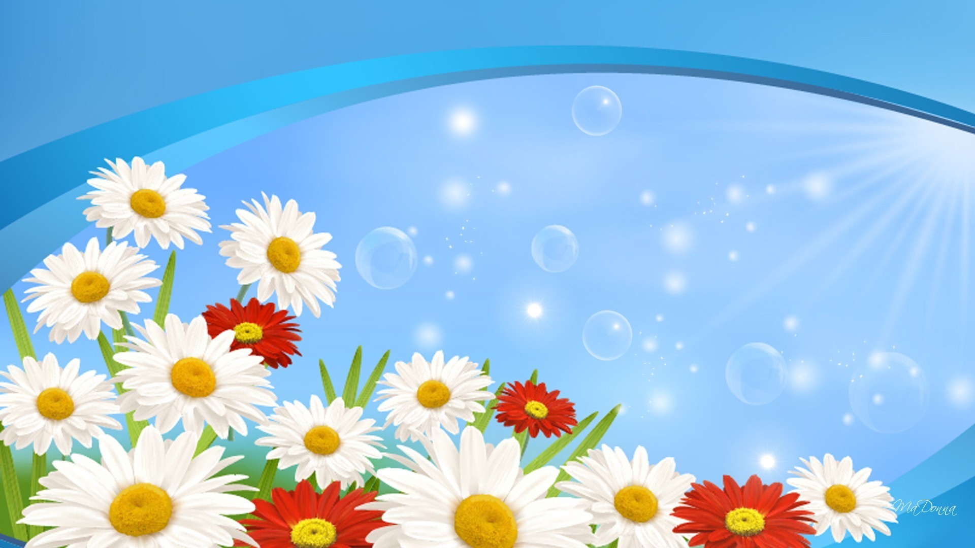 1920x1080 #BB2211 Color - Sunny Shasta Happy Blue Sky Window Loose Light Daisy Bright  Spring Flowers