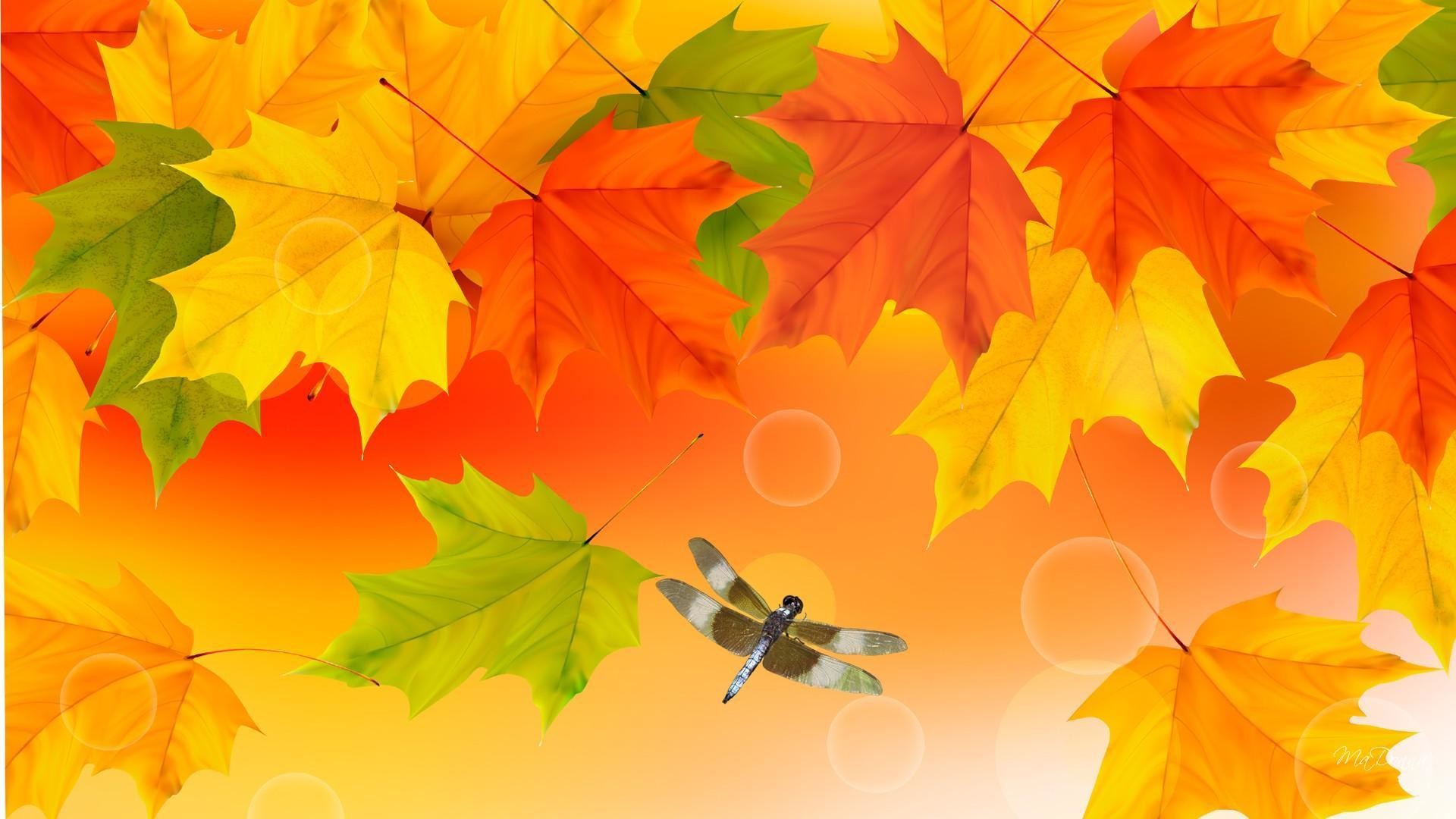 1920x1080 Widescreen Wallpapers of Fall Color, Creative Backgrounds