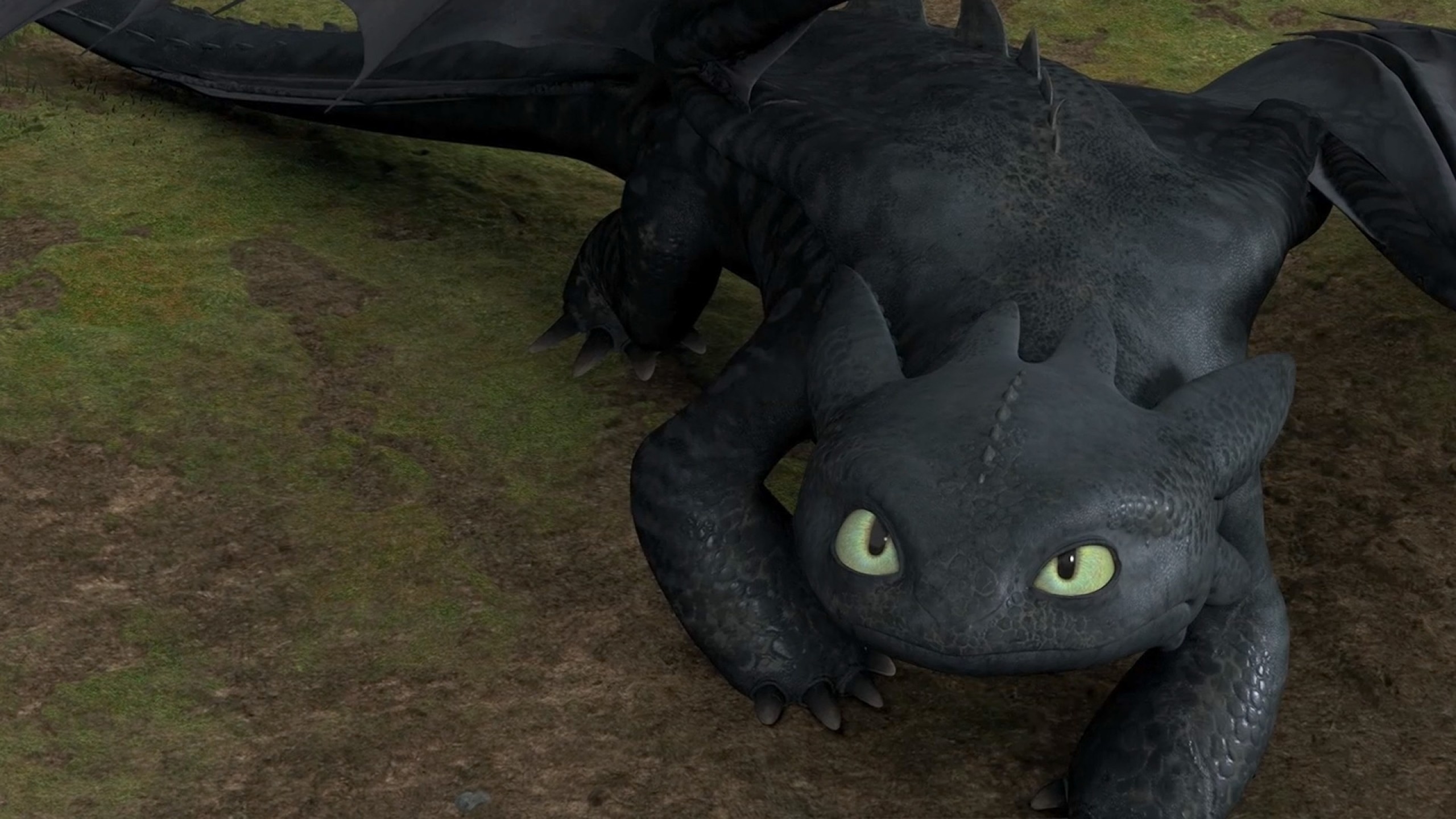 2560x1440 Movie - Toothless Wallpaper