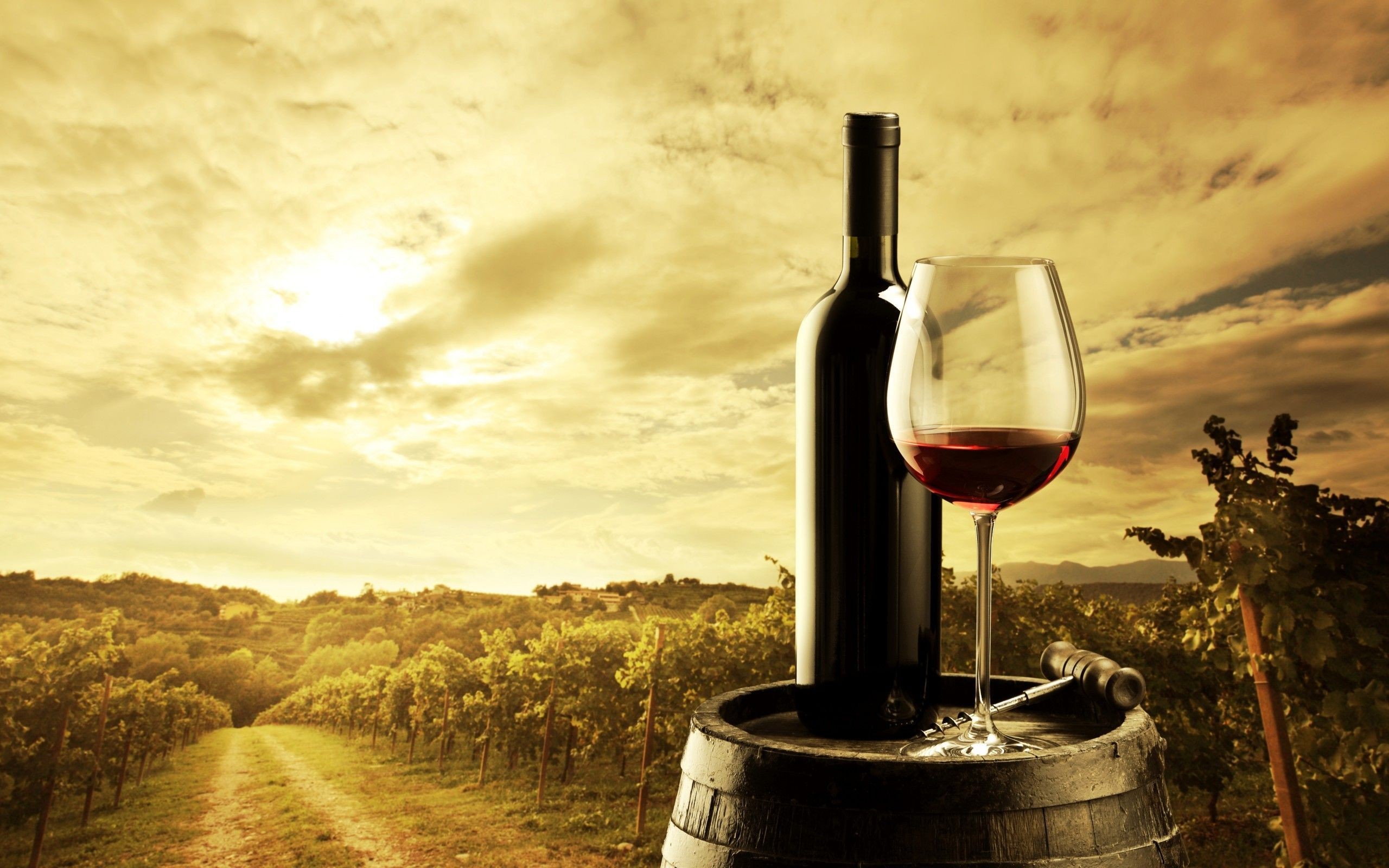 2560x1600 Wine Wallpapers, HD Images Wine Collection, GuoGuiyan Wallpapers