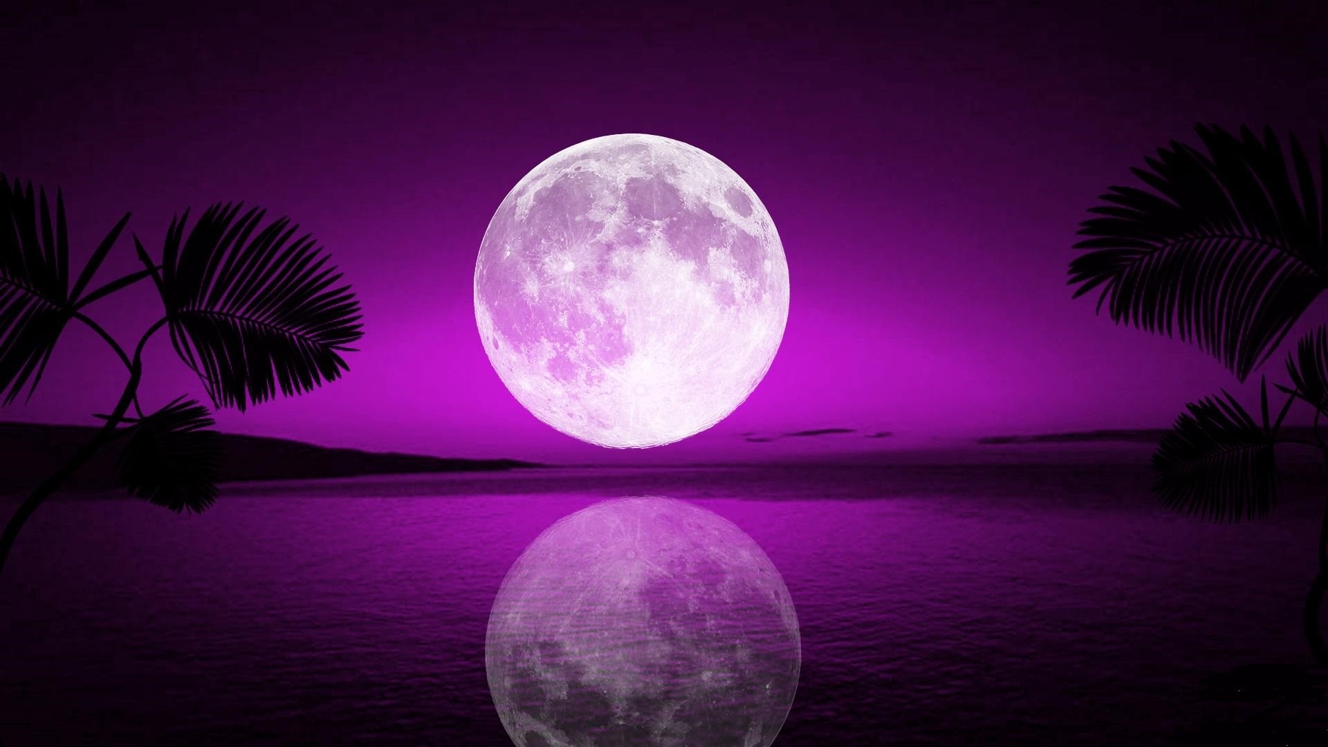 1920x1080 tropical-moon-free-hd-wallpapers-for-desktop