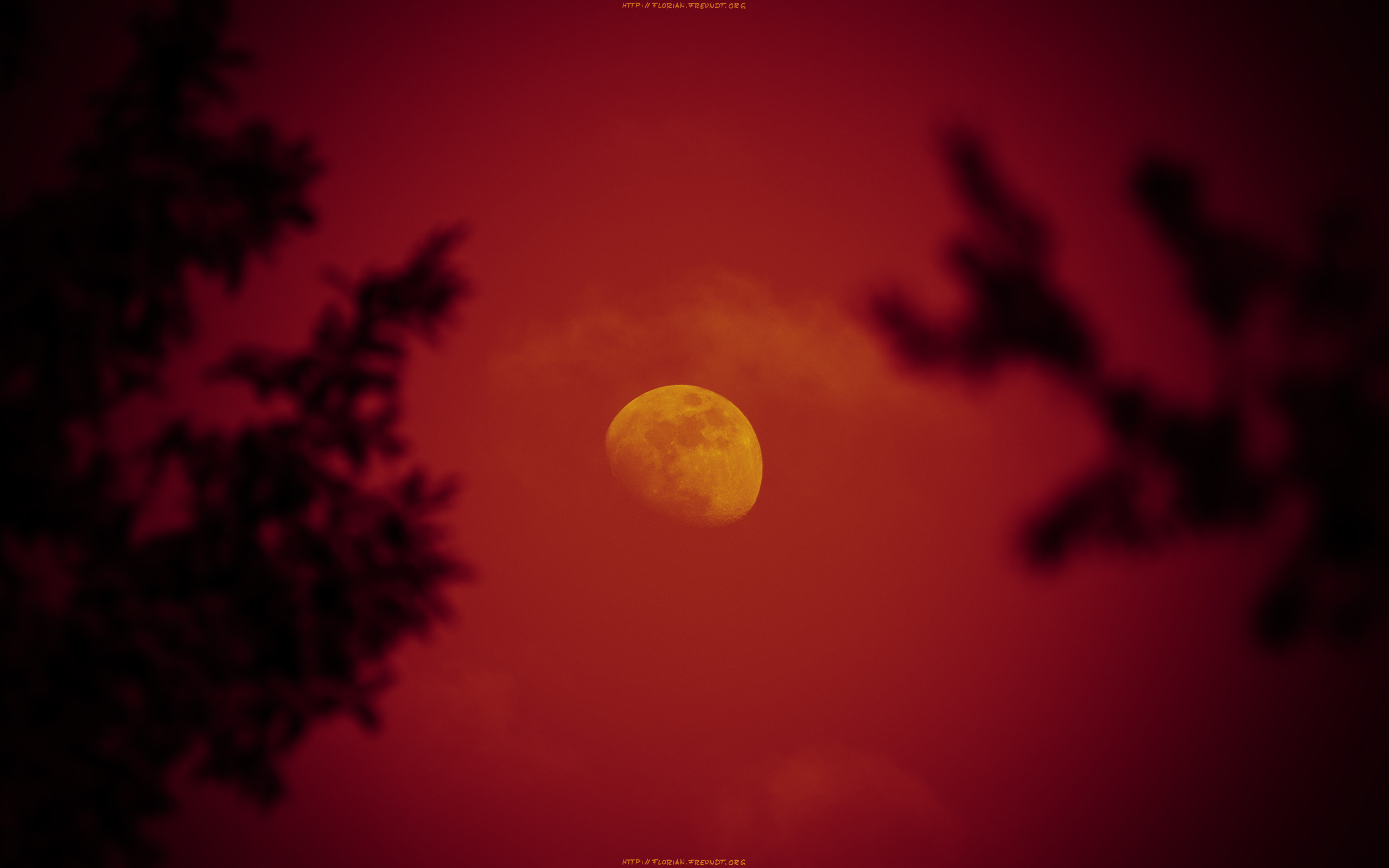 2560x1600 ... Super High Quality  Desktop Red Moon Background Wallpapers ...