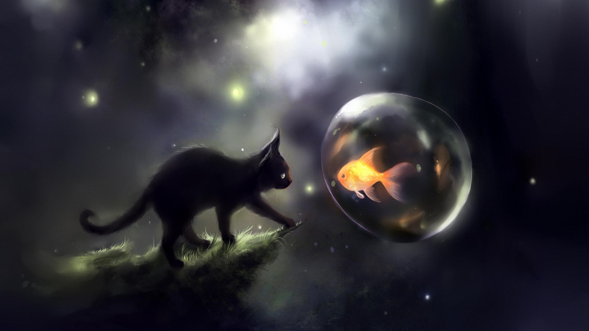 1920x1080 cute space cat fish hd wallpapers