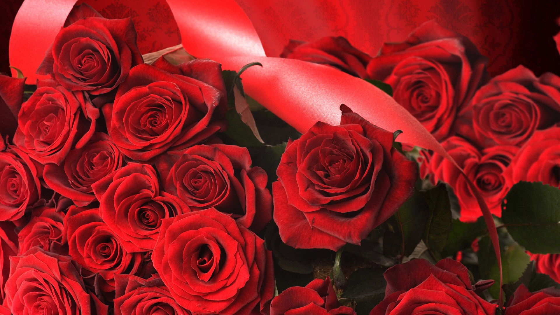 1920x1080 HD wallpaper Red Rose Flowers.