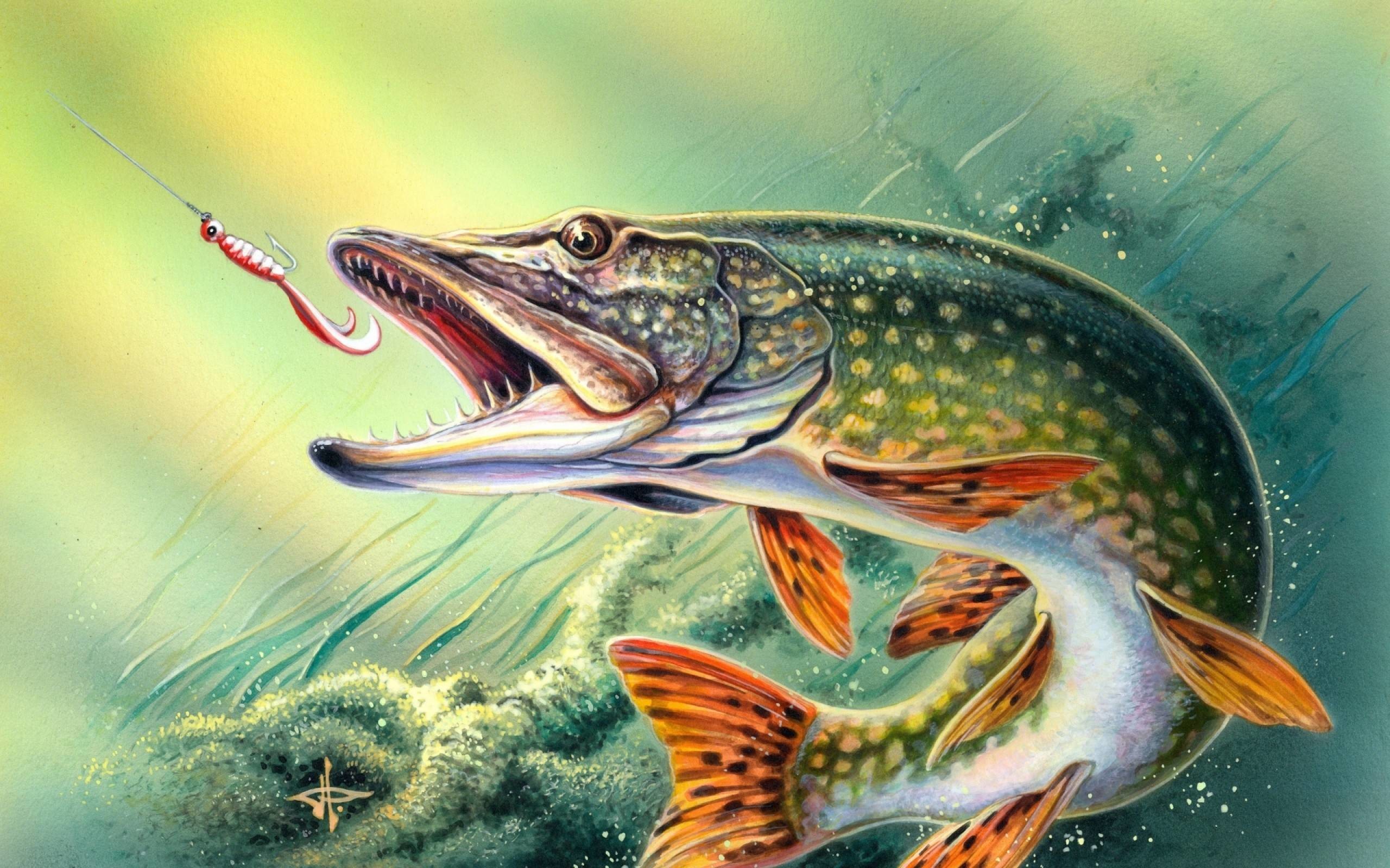 2560x1600 Fishing Wallpapers High Quality Resolution